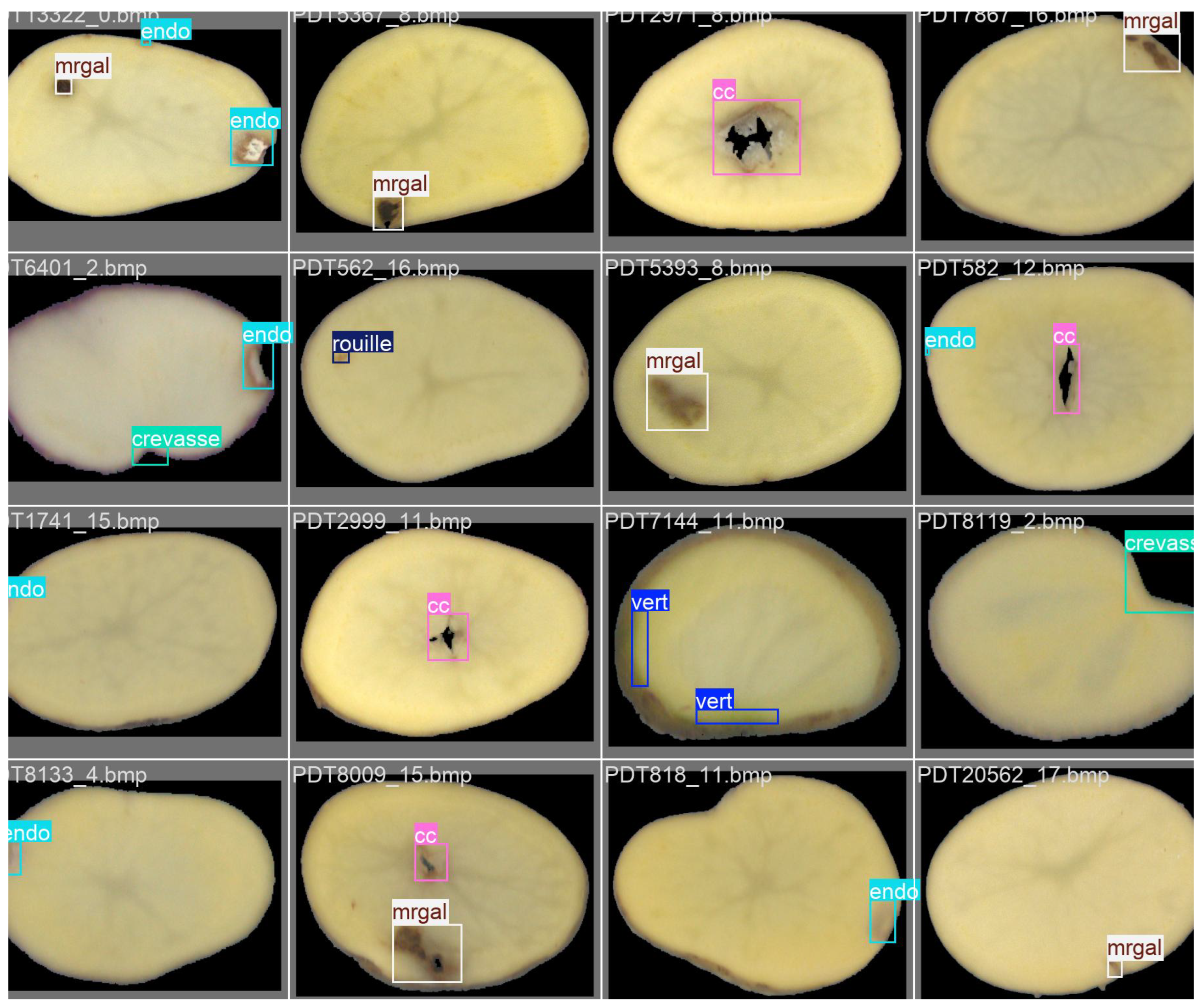 Preprints 182263 g002