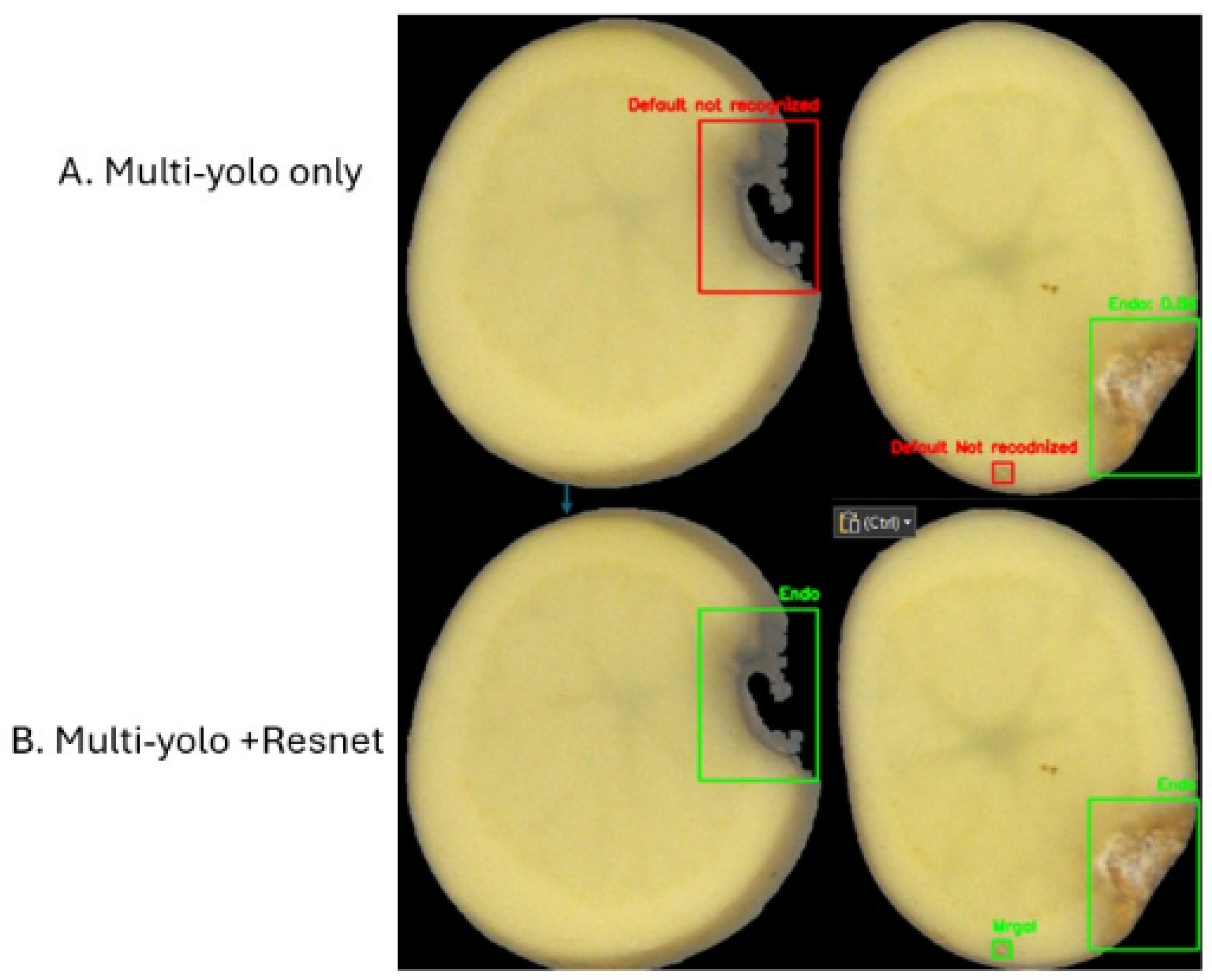 Preprints 182263 g004