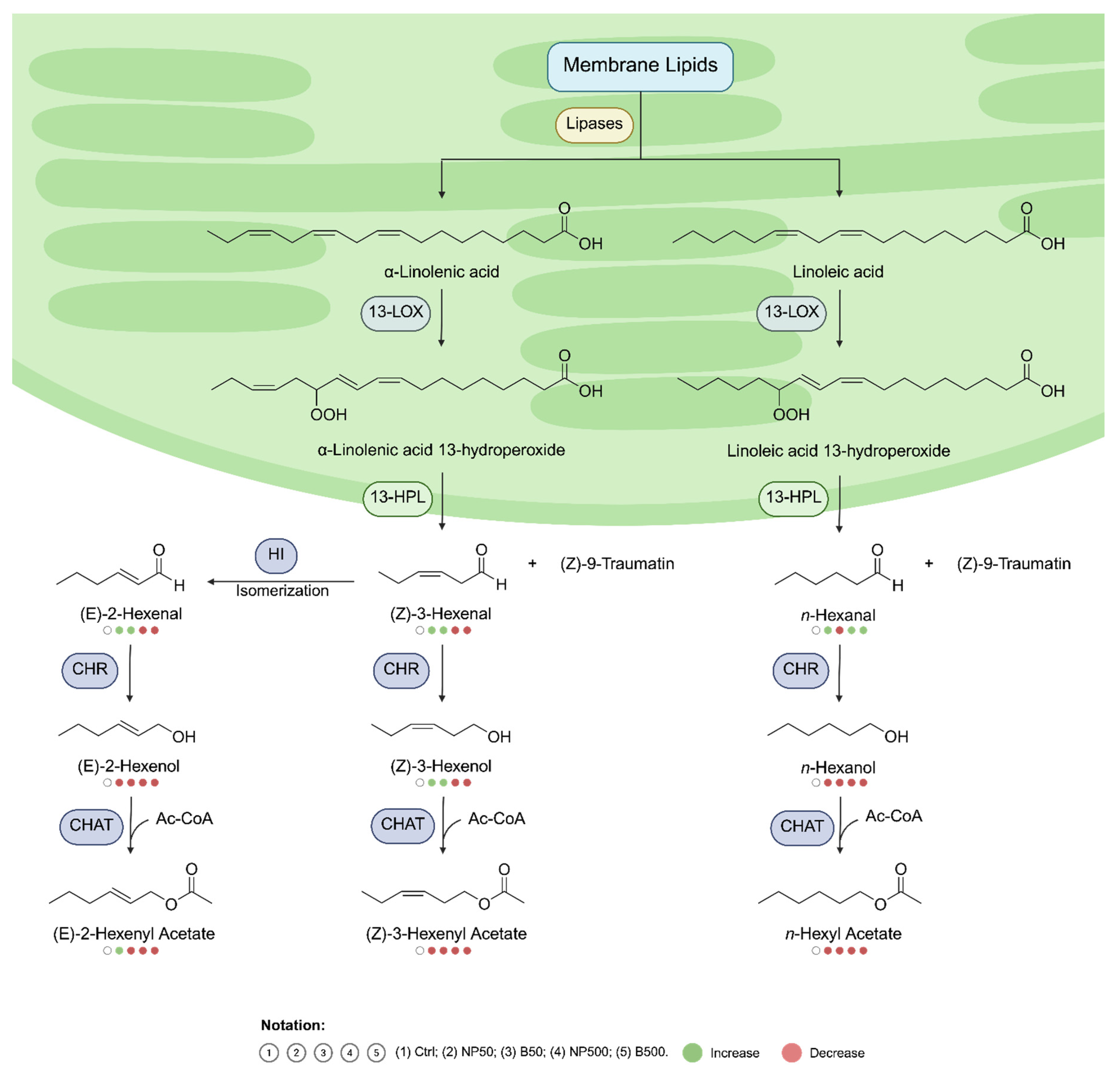 Preprints 192779 g008