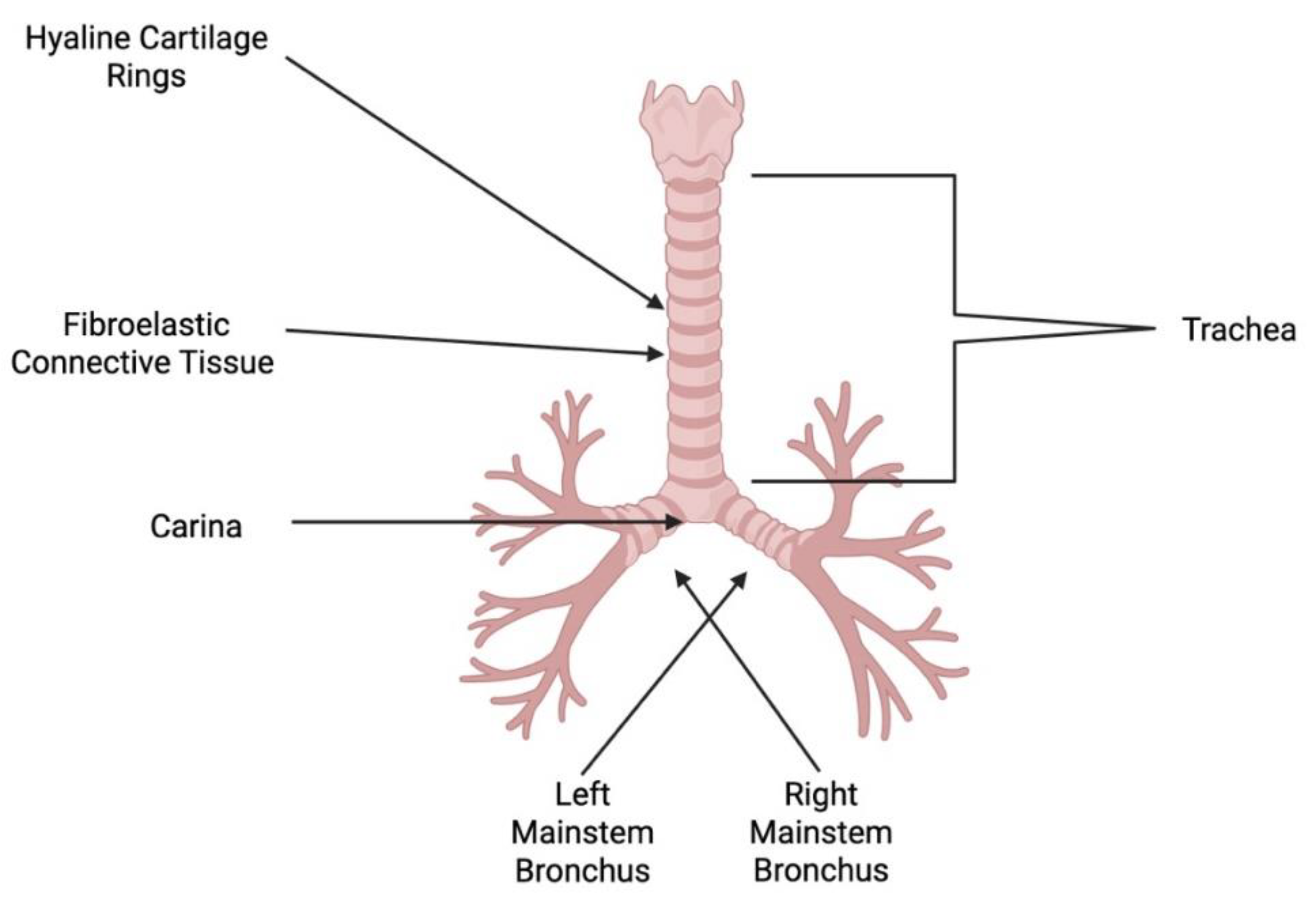 Preprints 209880 g001