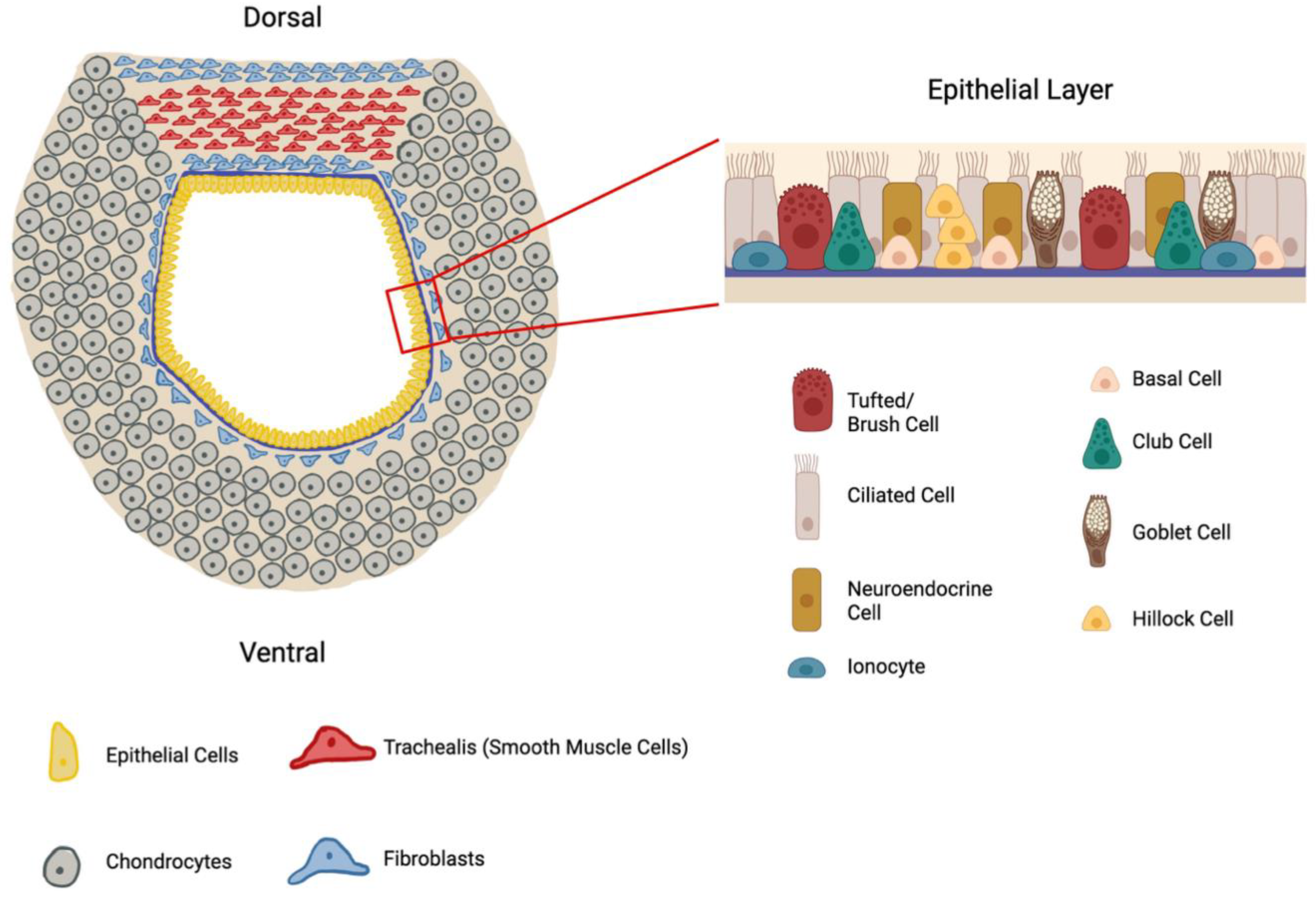 Preprints 209880 g002