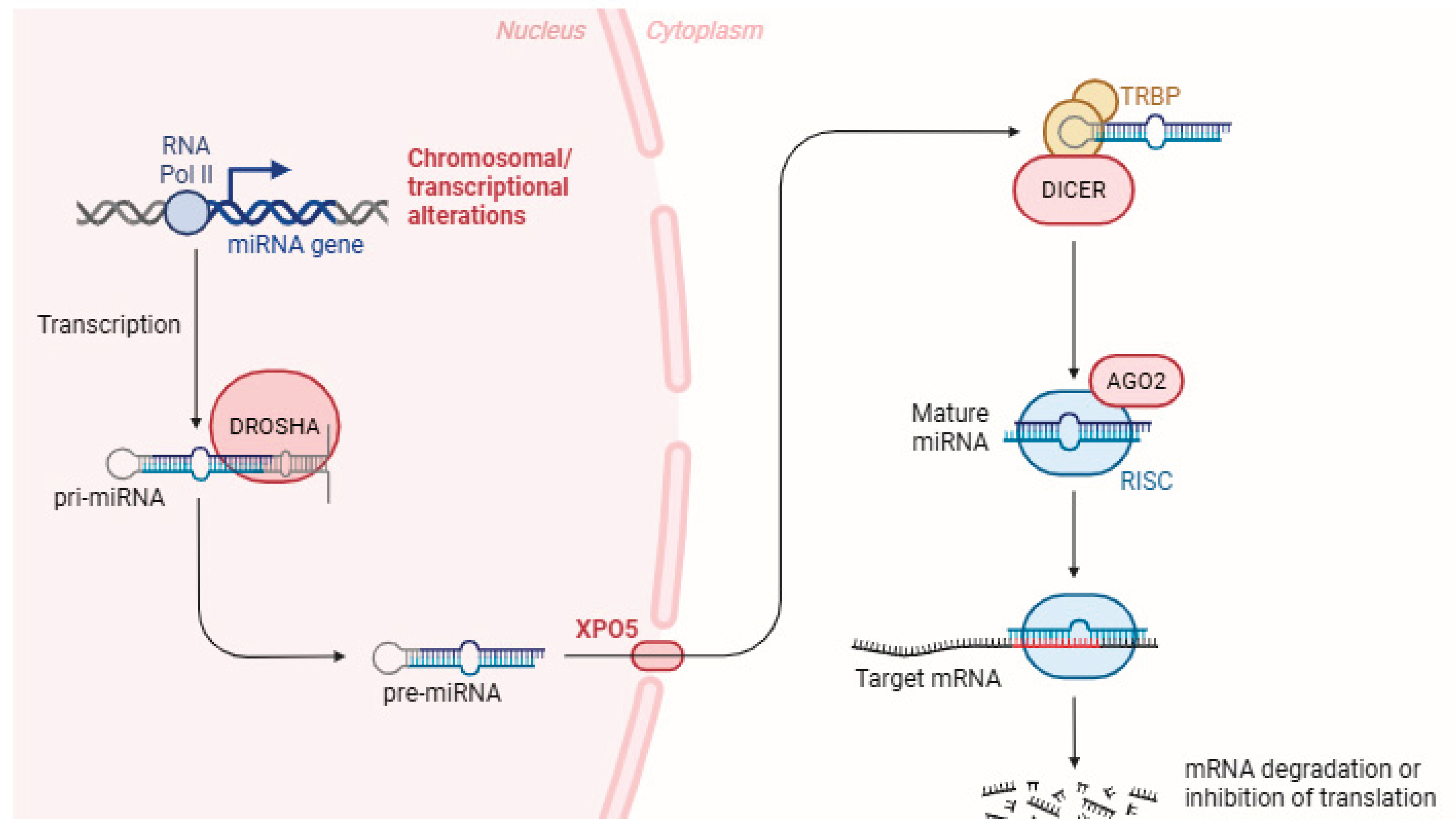 Preprints 184588 g001