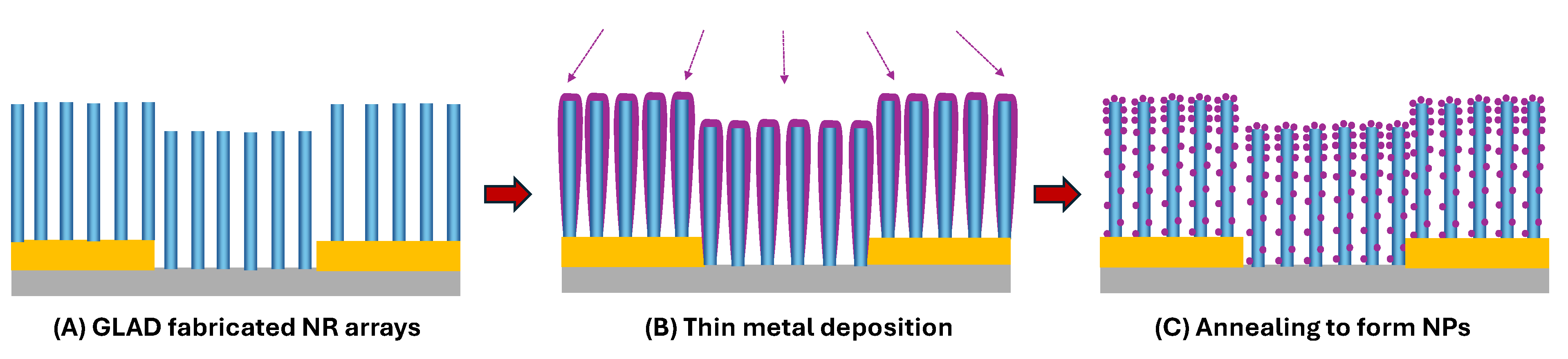 Preprints 163064 g009