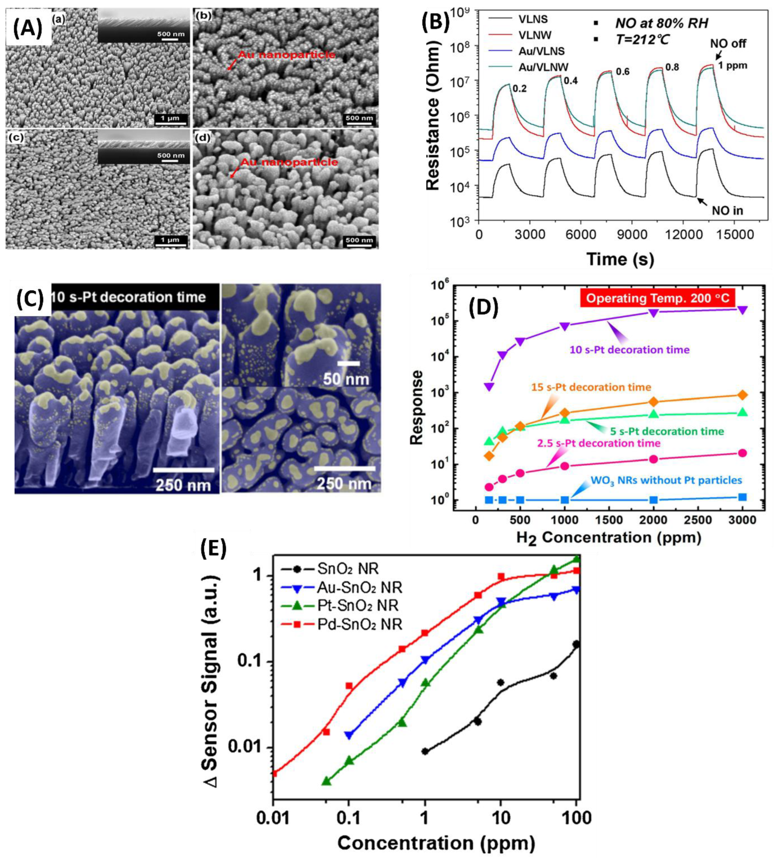 Preprints 163064 g010