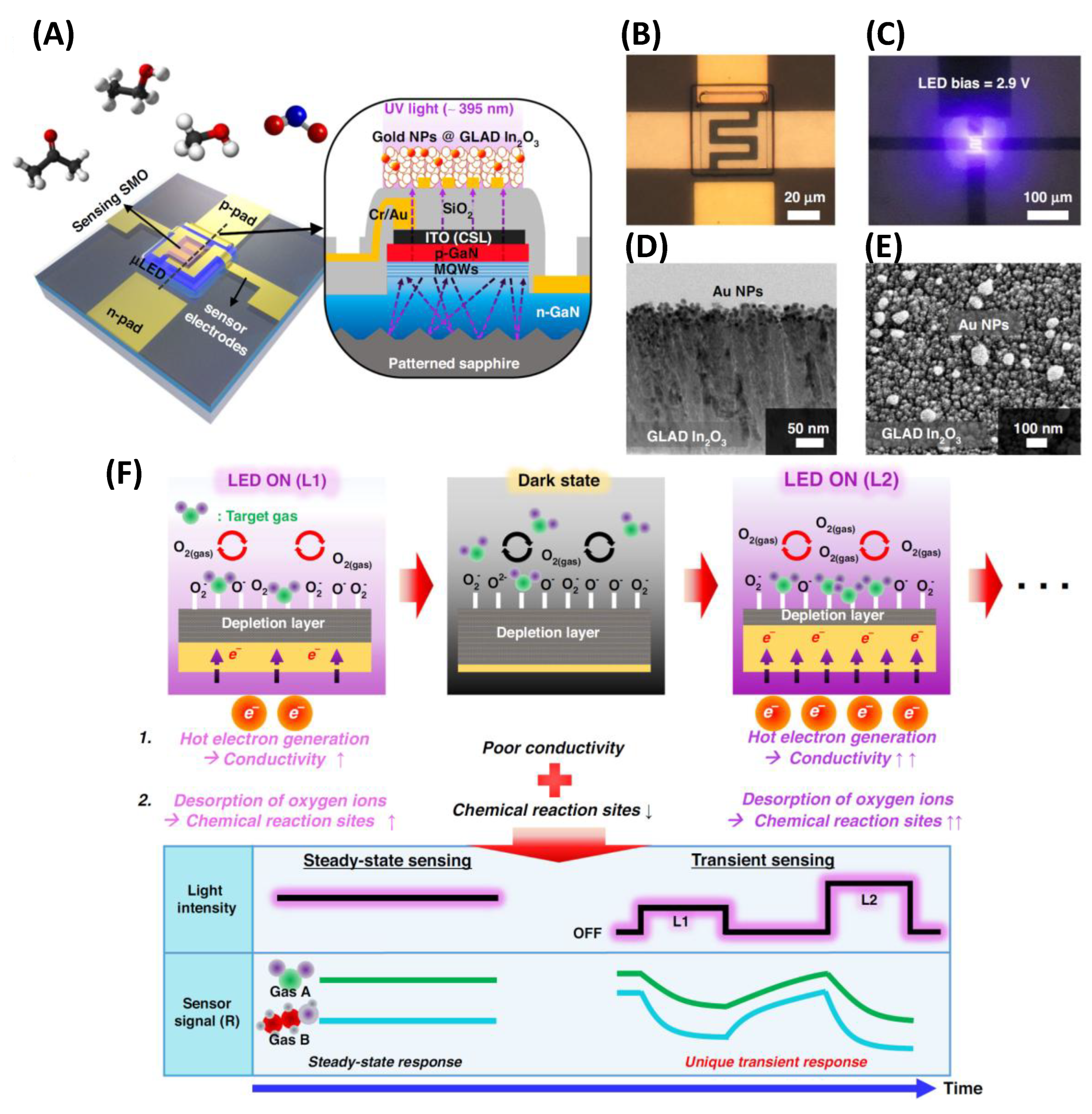 Preprints 163064 g017