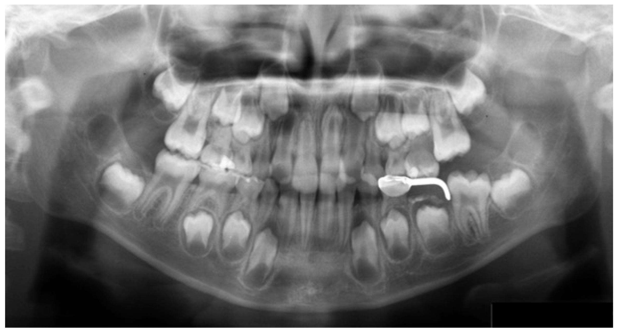Preprints 186833 g001