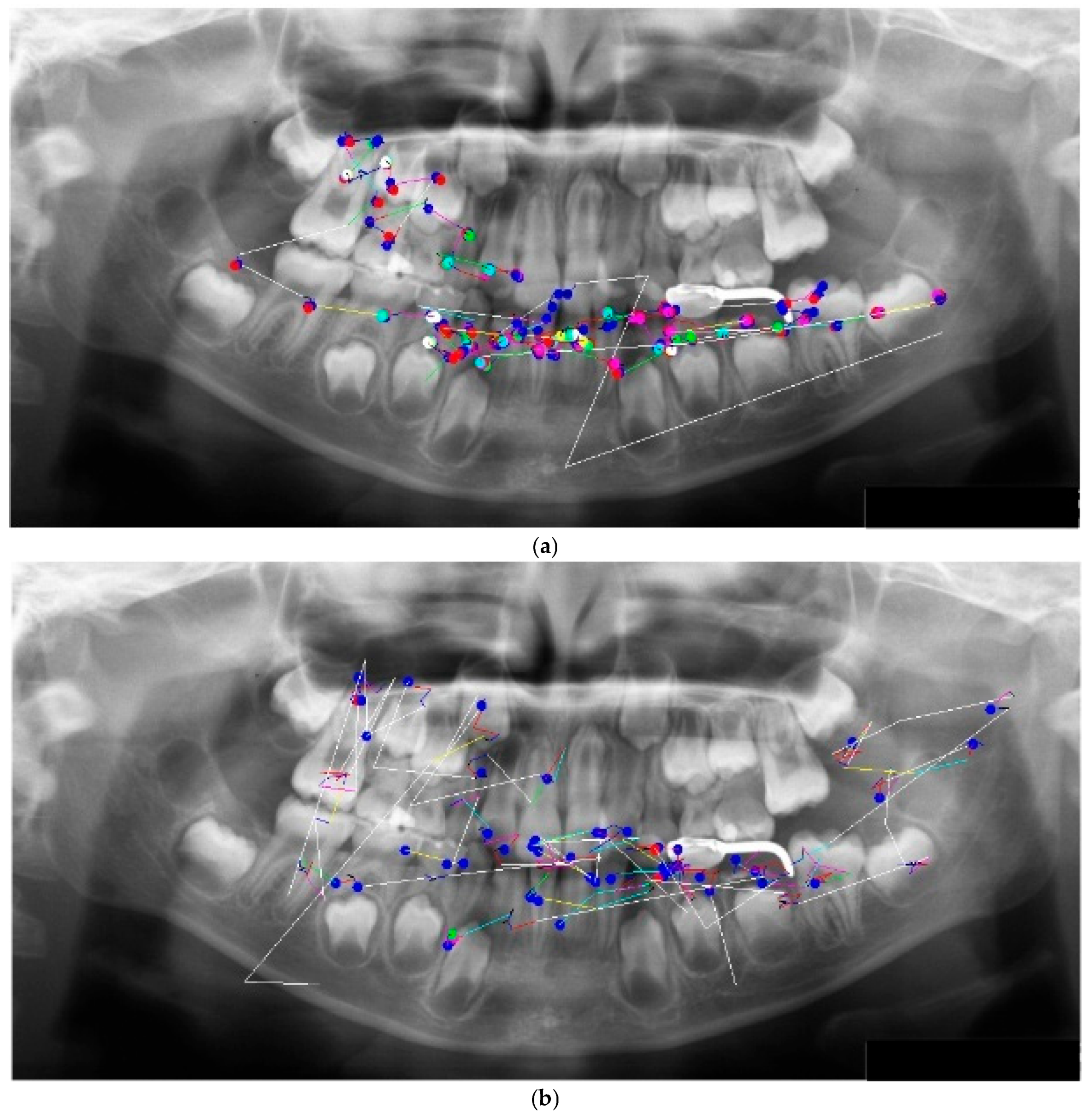 Preprints 186833 g002a