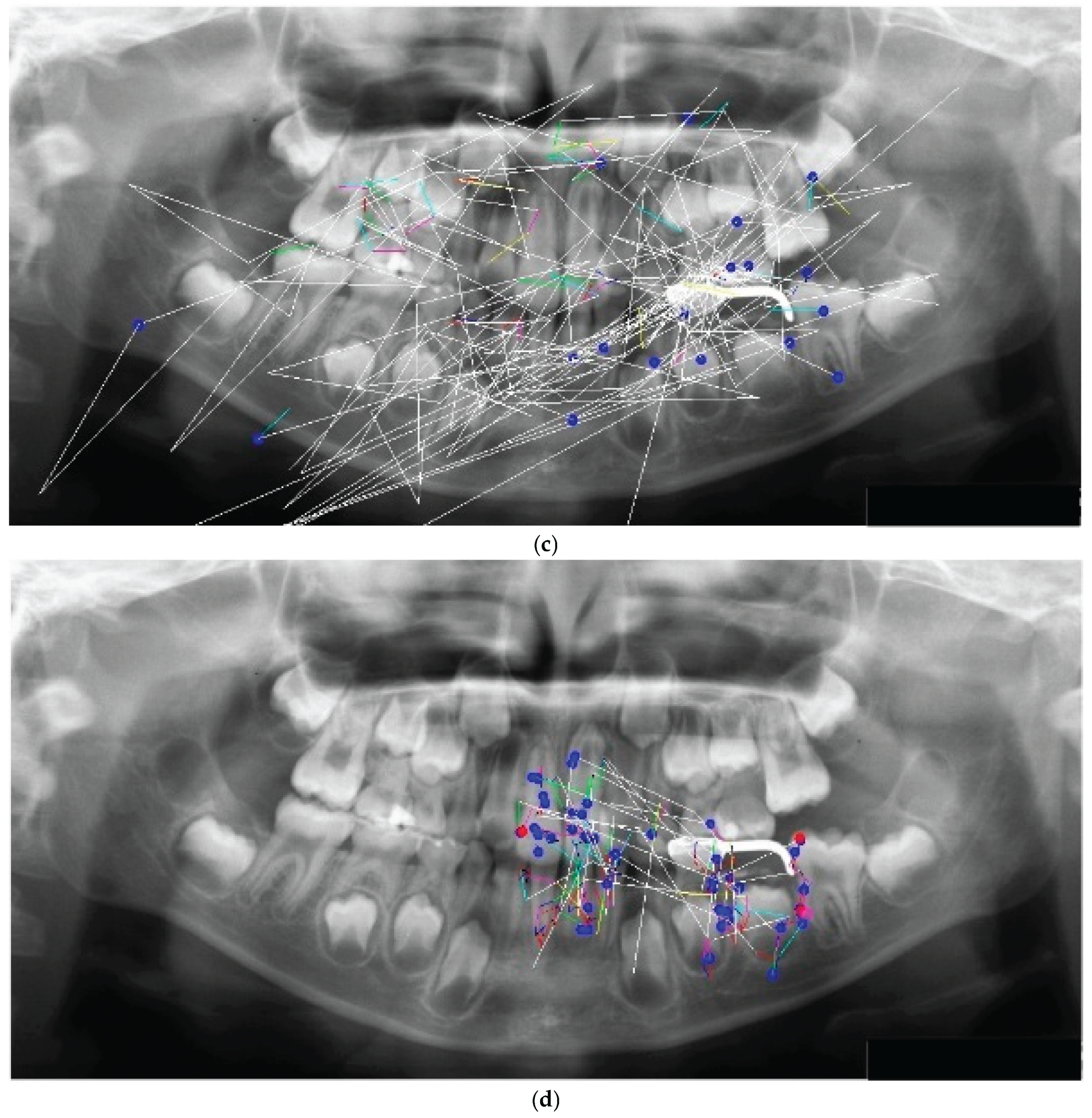 Preprints 186833 g002b