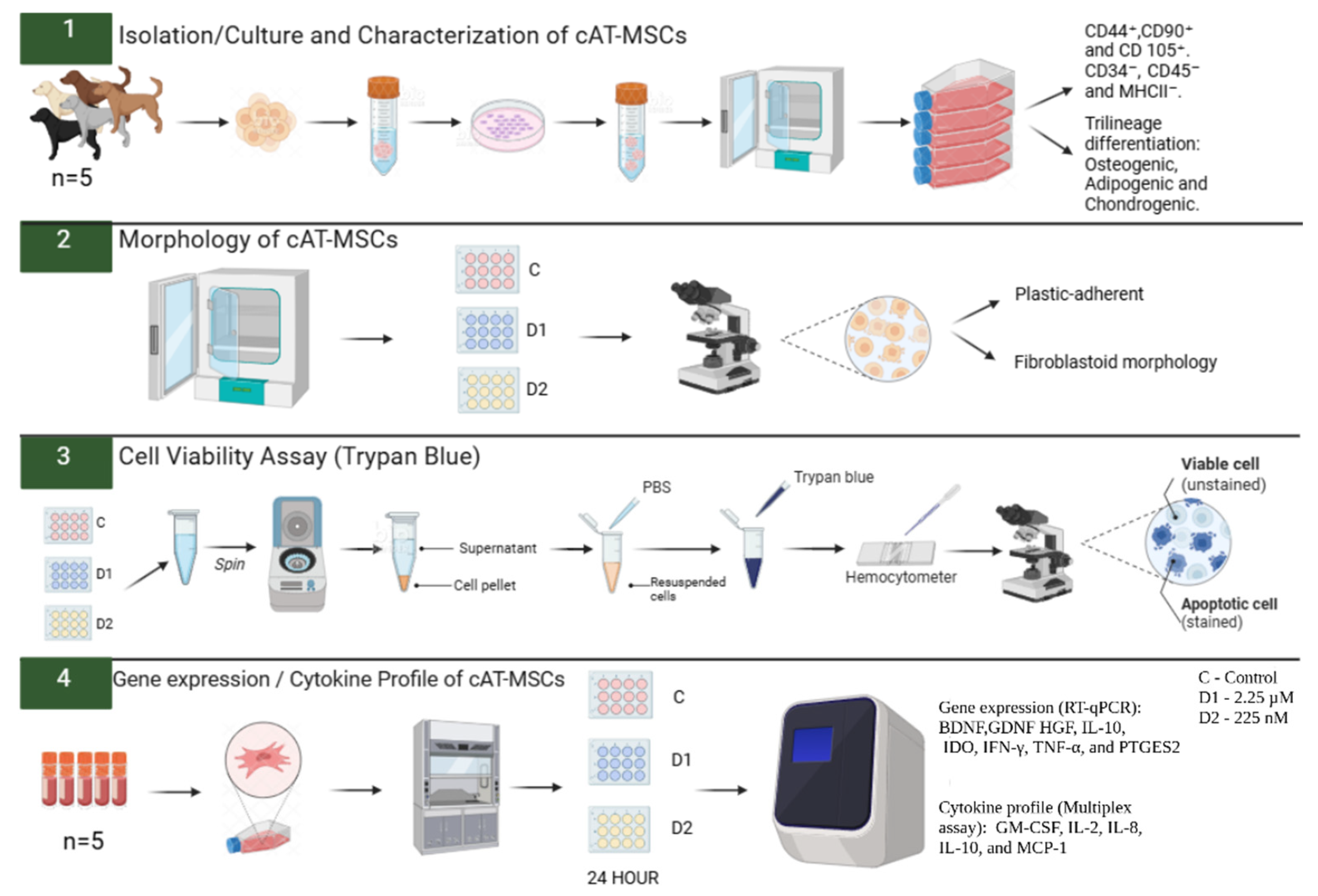 Preprints 174461 g001