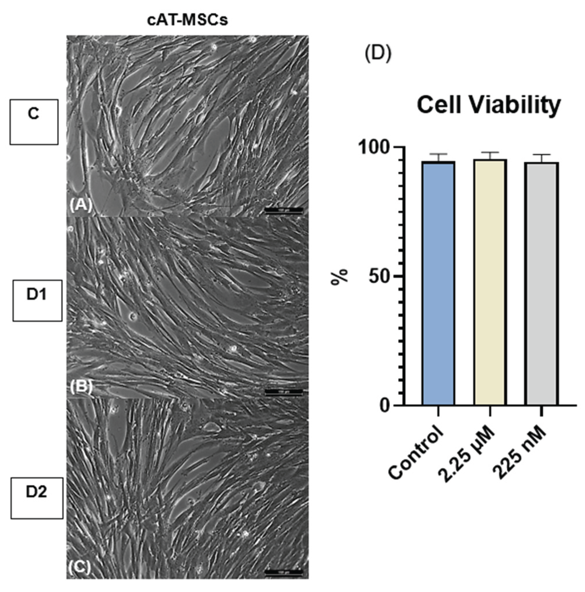 Preprints 174461 g002