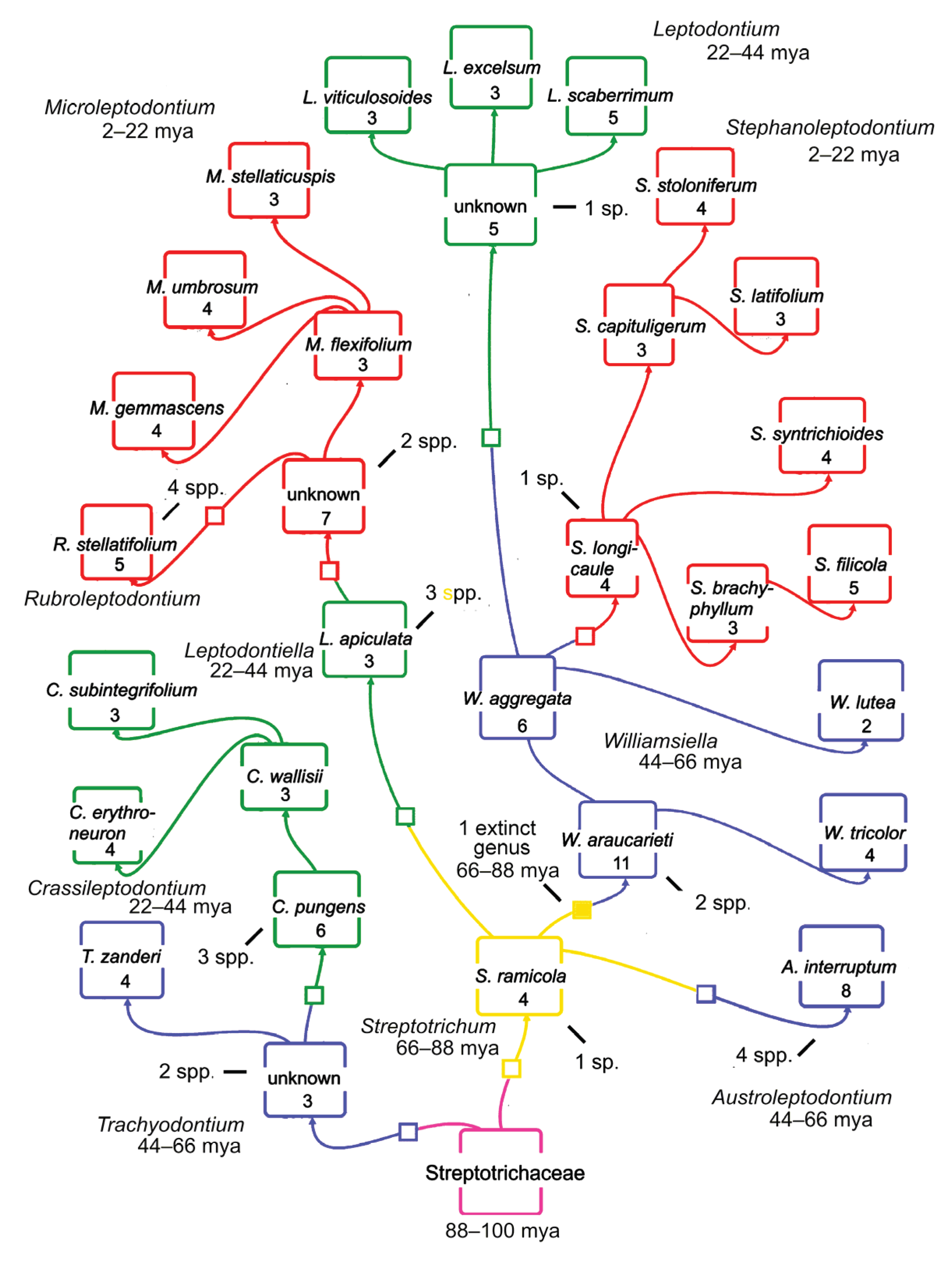 Preprints 208446 g001