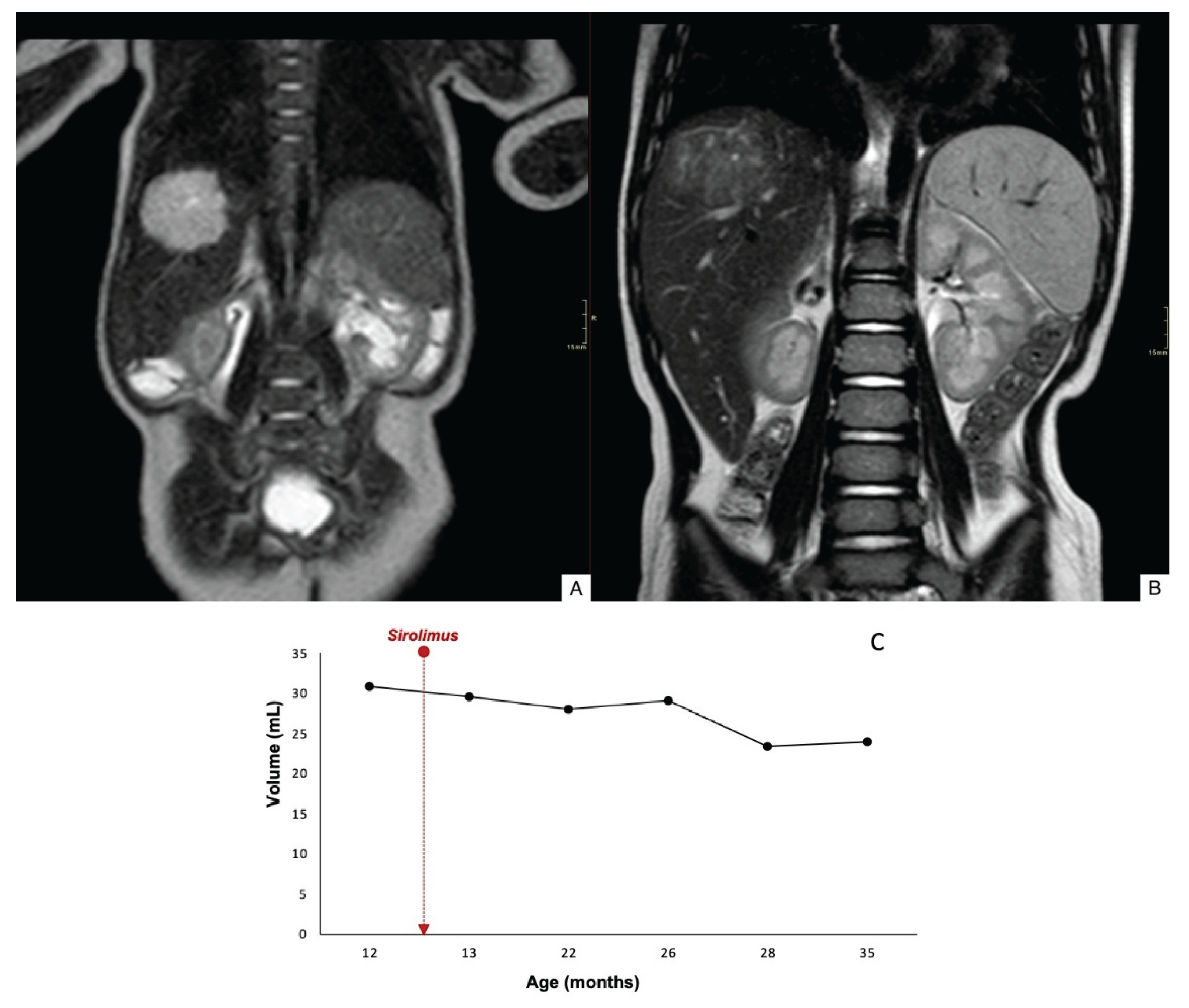 Preprints 161266 g003