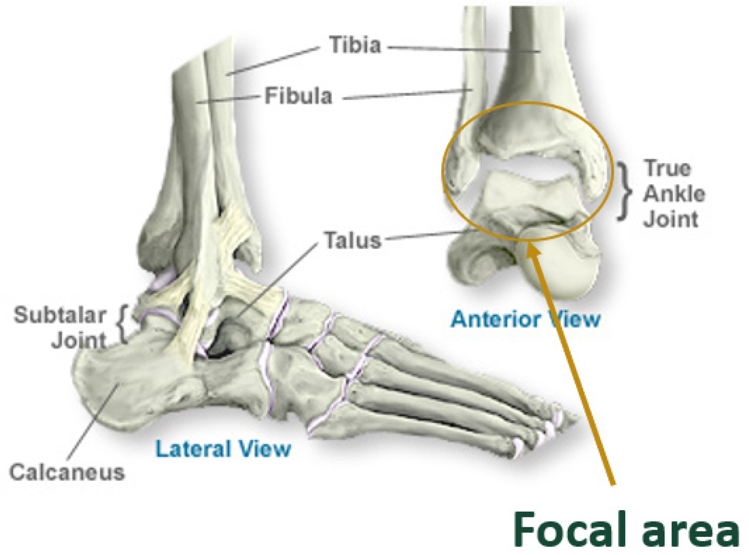 Preprints 104841 g001