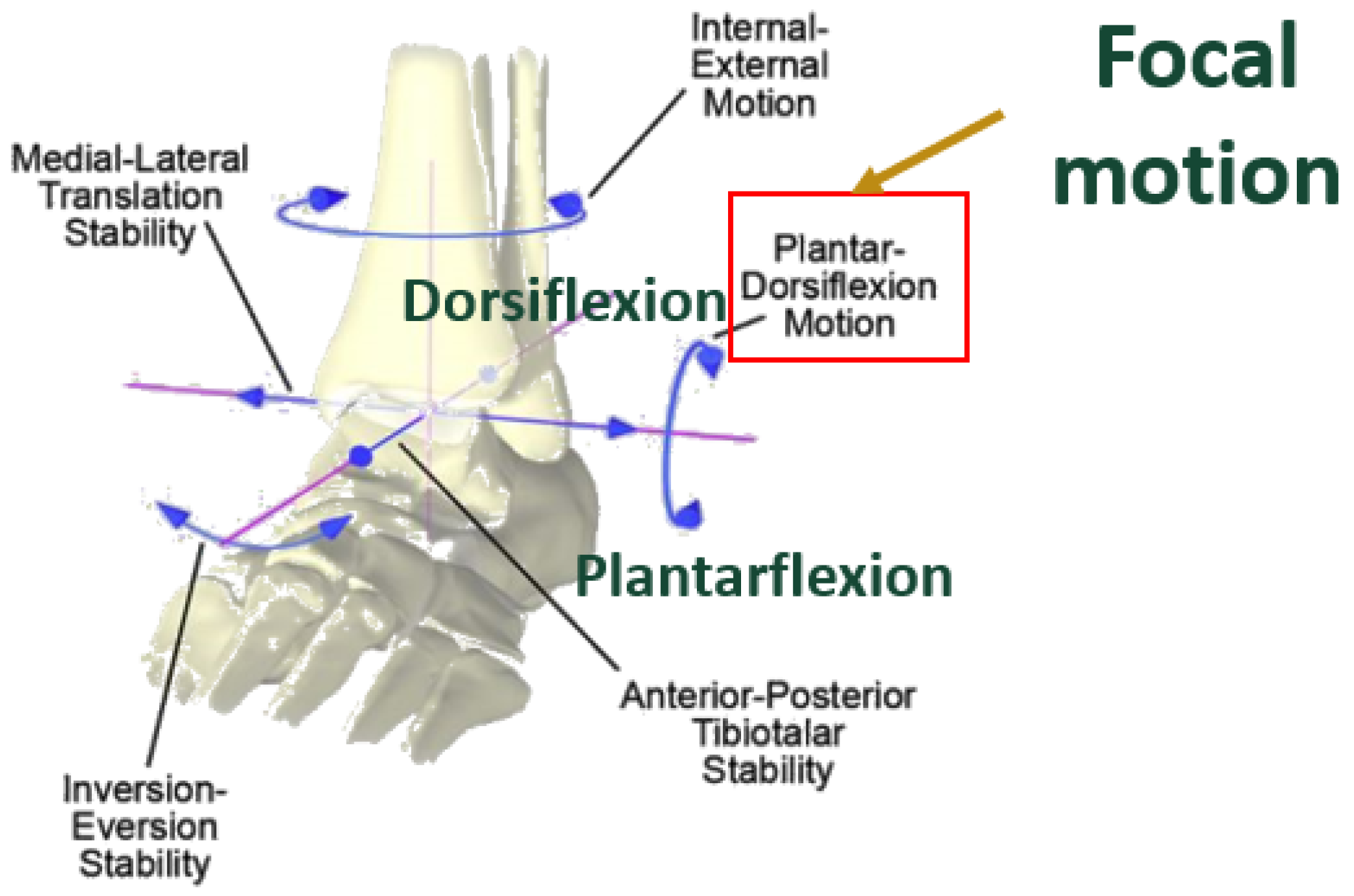 Preprints 104841 g002