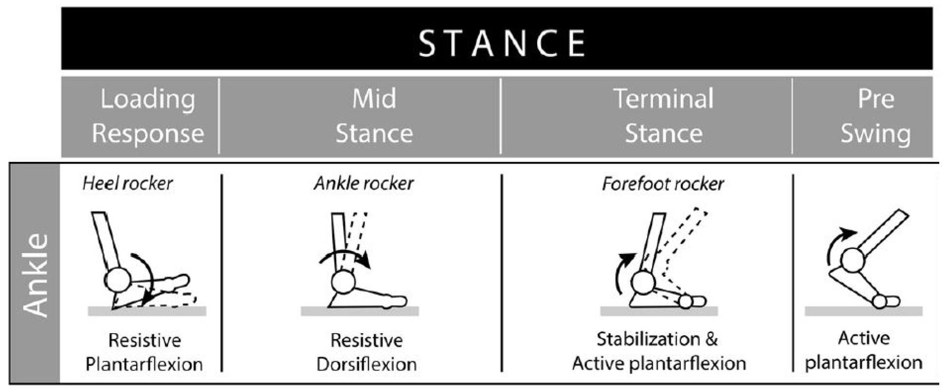 Preprints 104841 g003