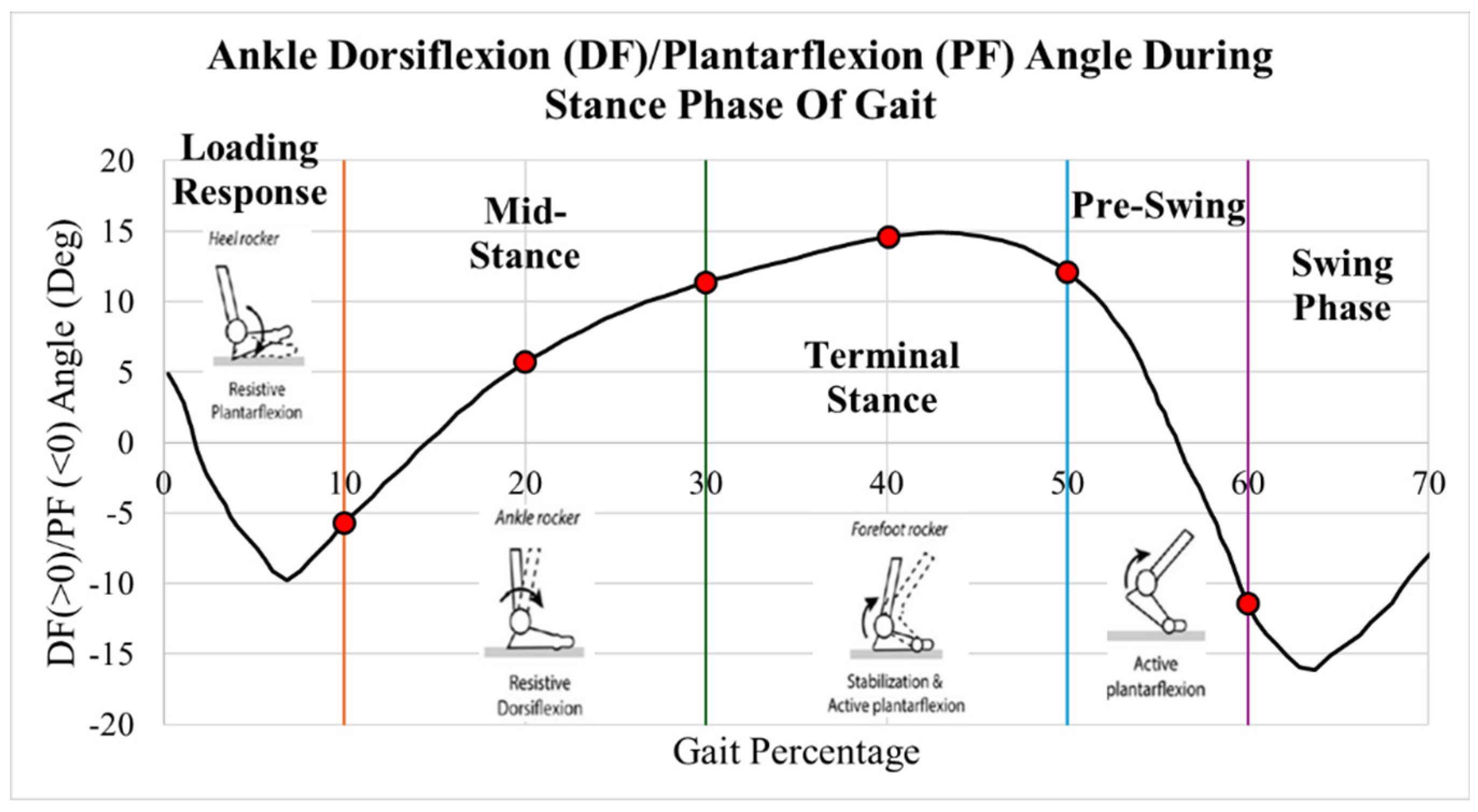Preprints 104841 g004