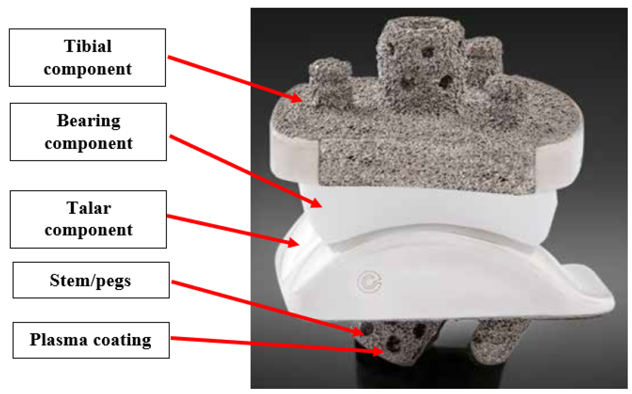 Preprints 104841 g005