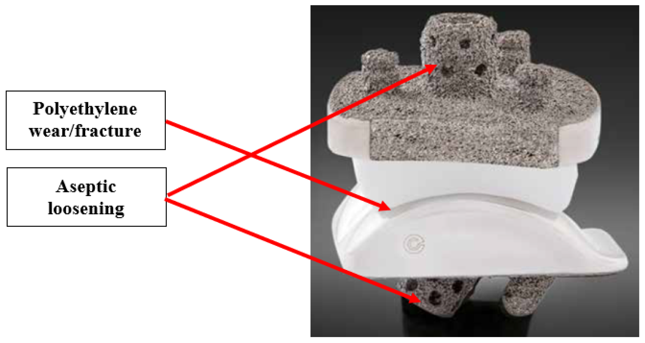 Preprints 104841 g006