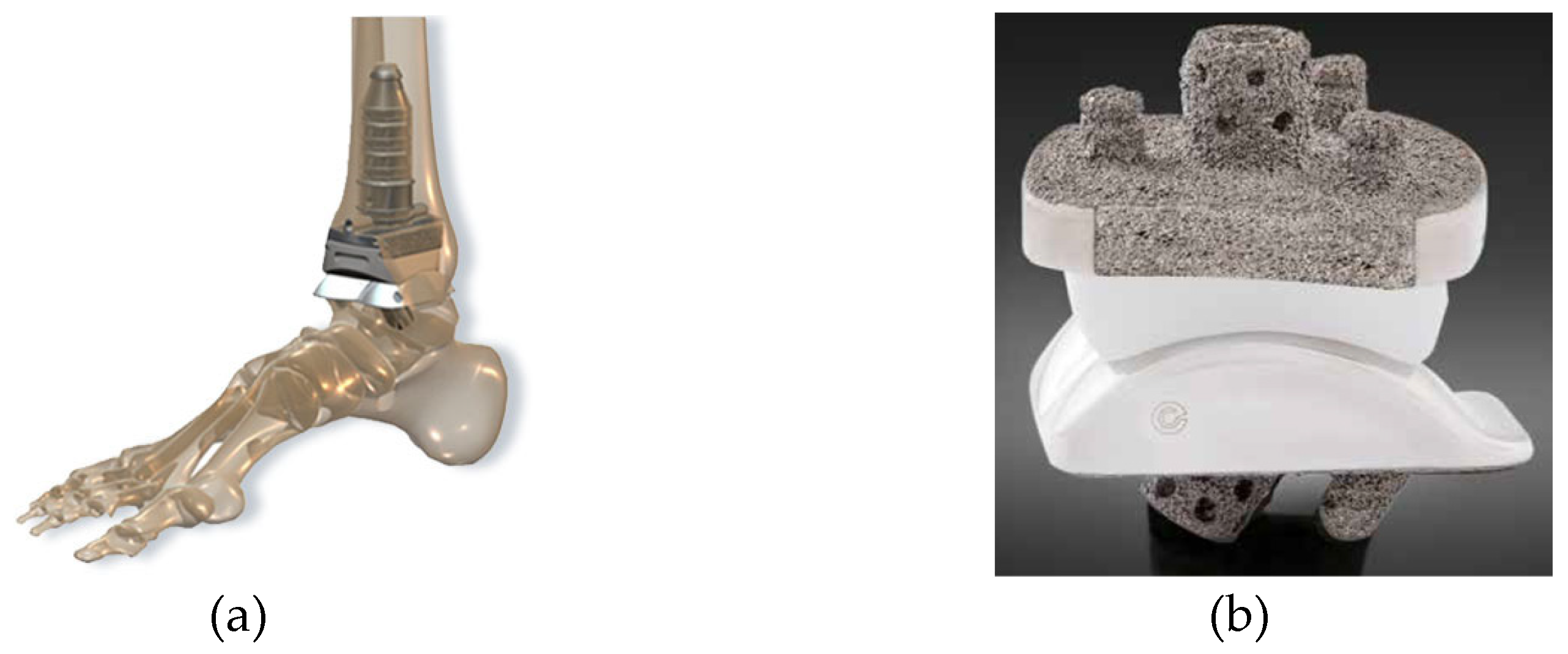 Preprints 104841 g007