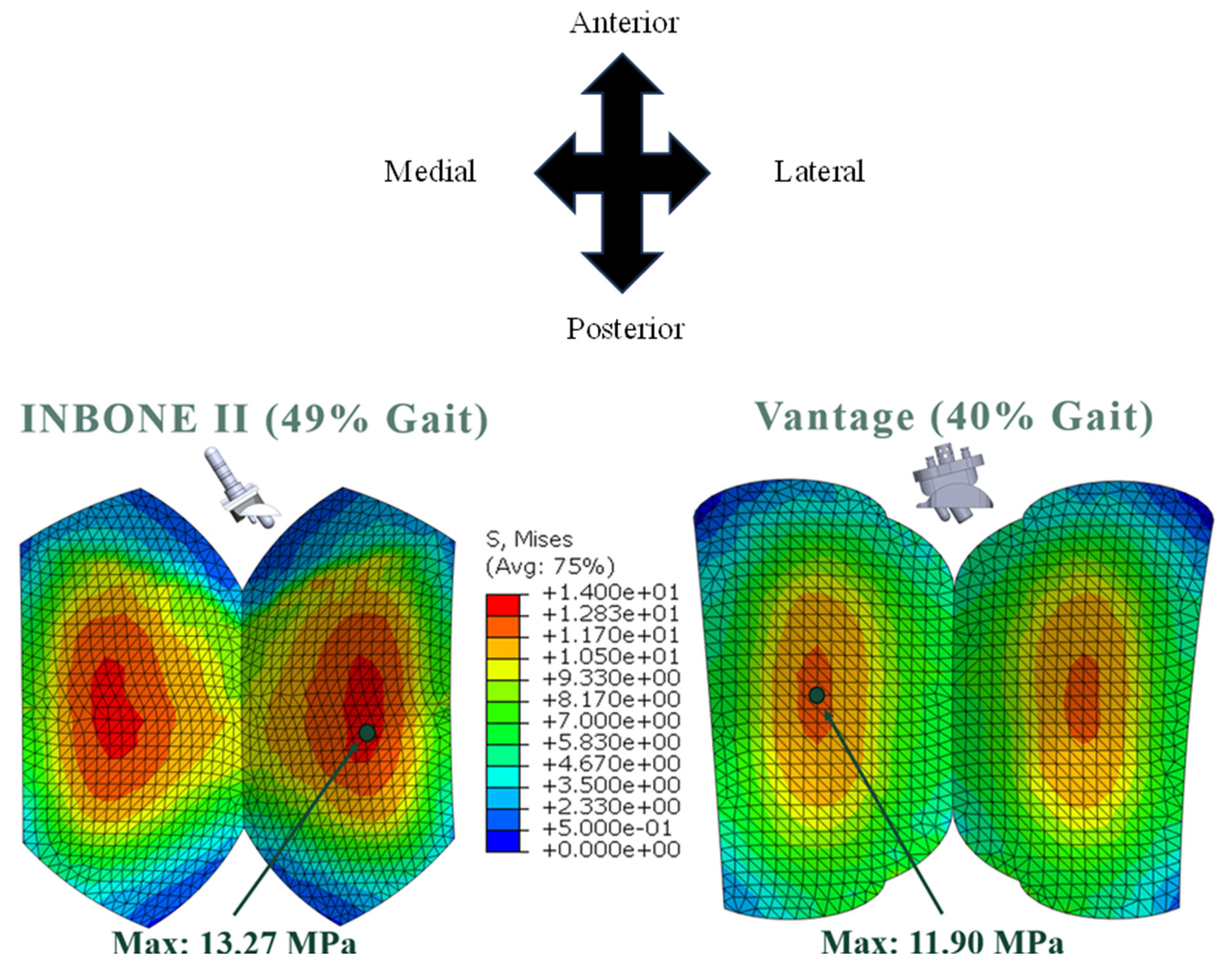 Preprints 104841 g026