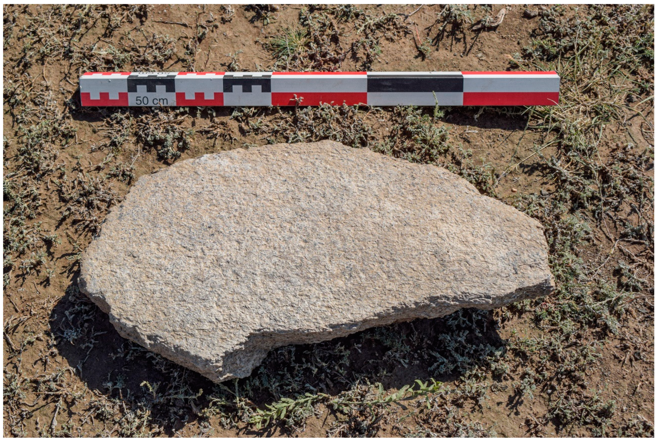 Preprints 73724 g011