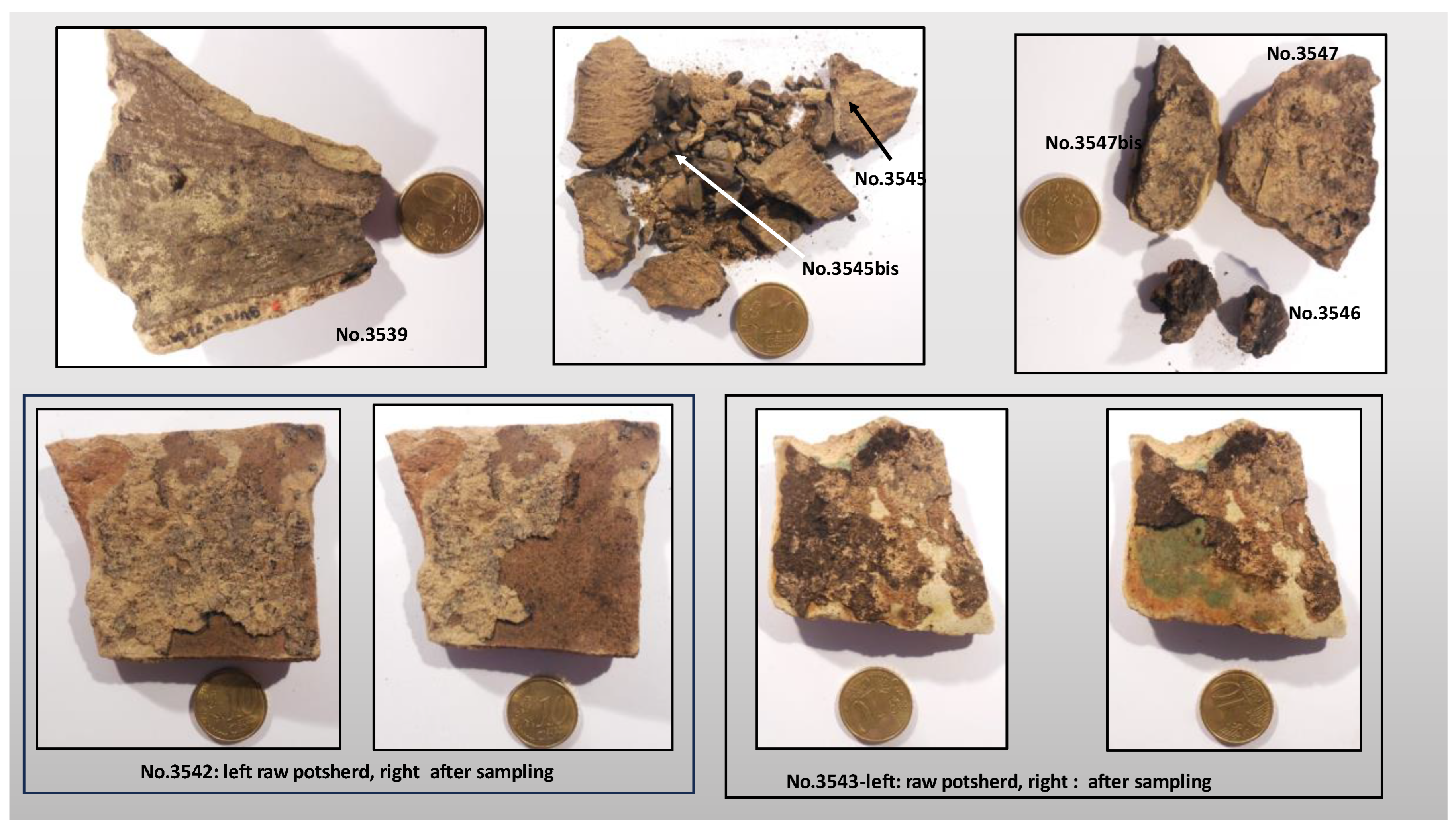 Preprints 146037 g002
