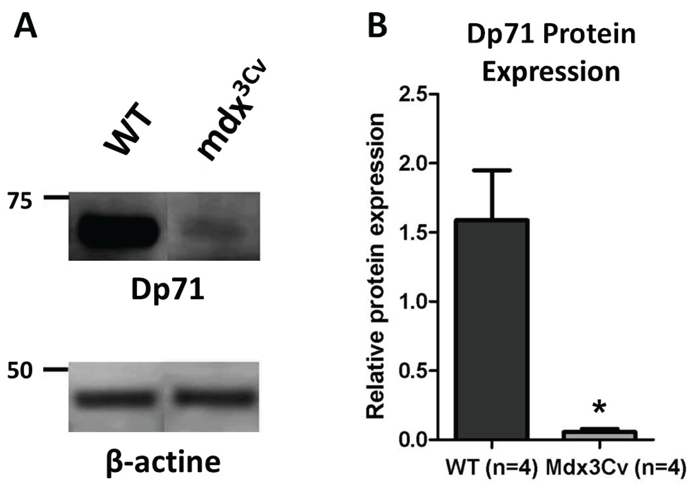 Preprints 195205 g001