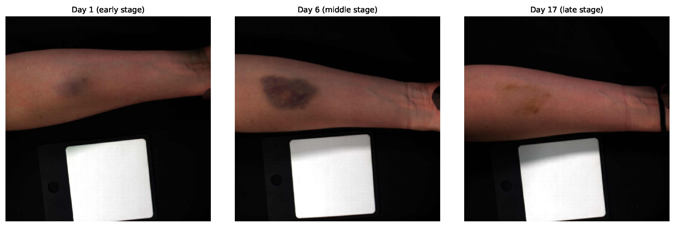 Preprints 191238 g001