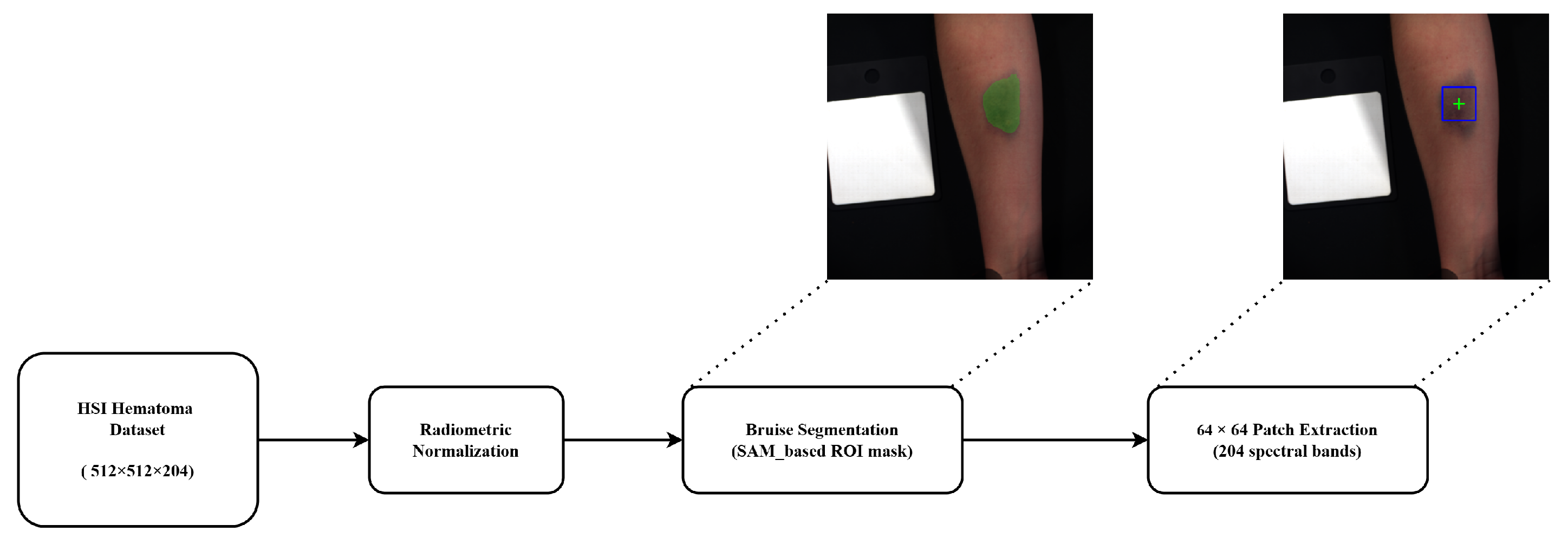 Preprints 191238 g002