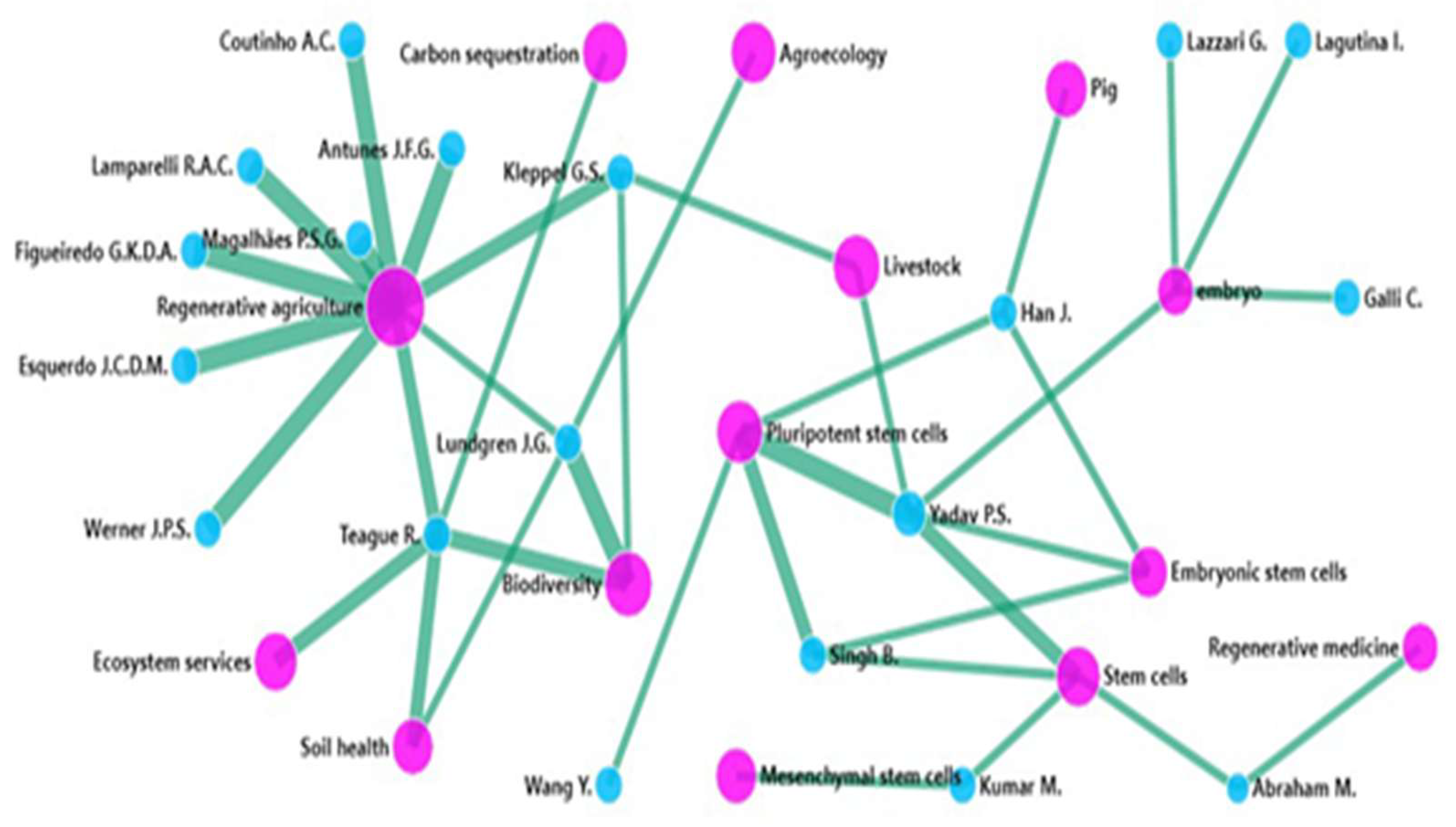Preprints 216104 g005