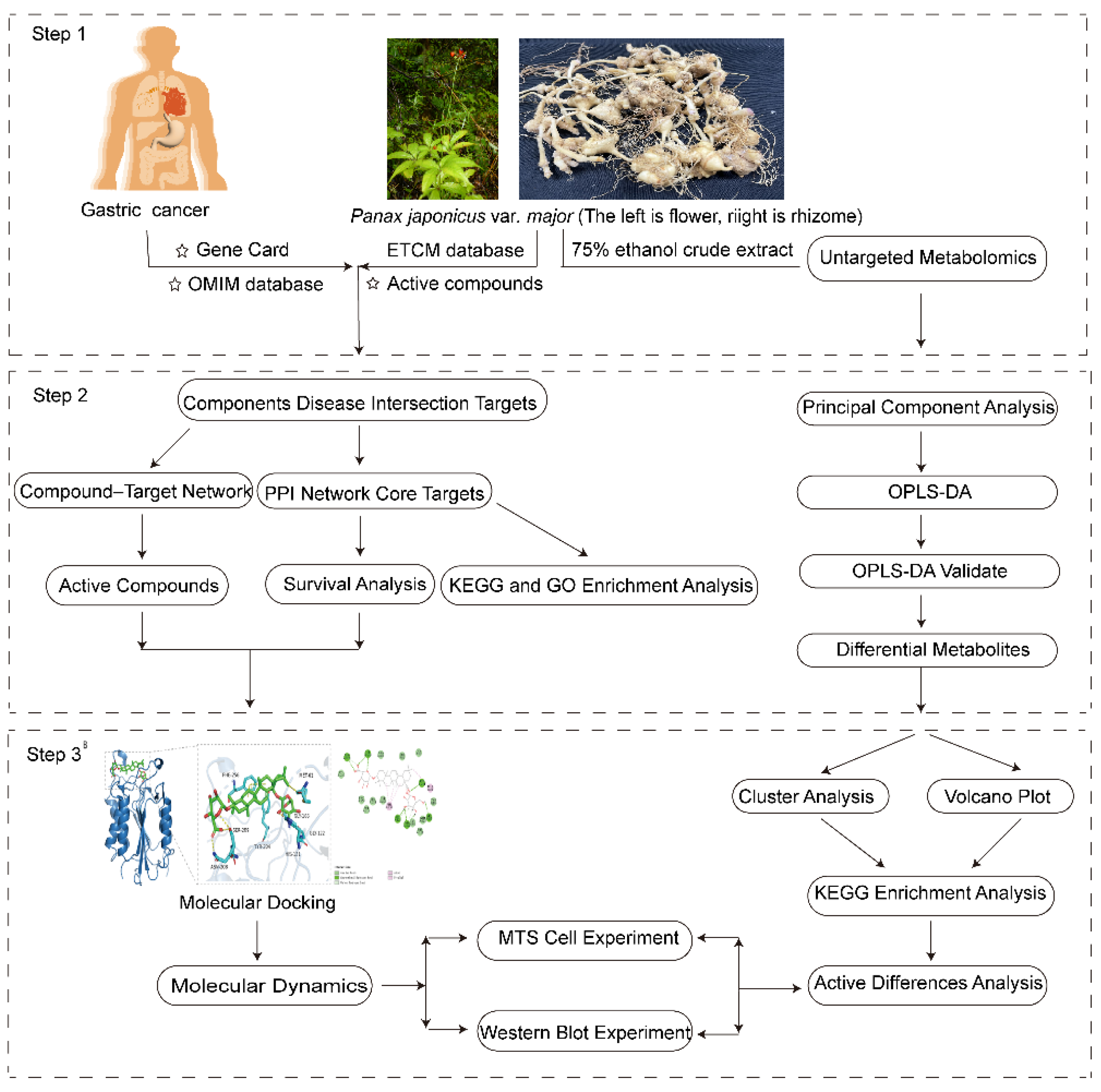 Preprints 157099 g001