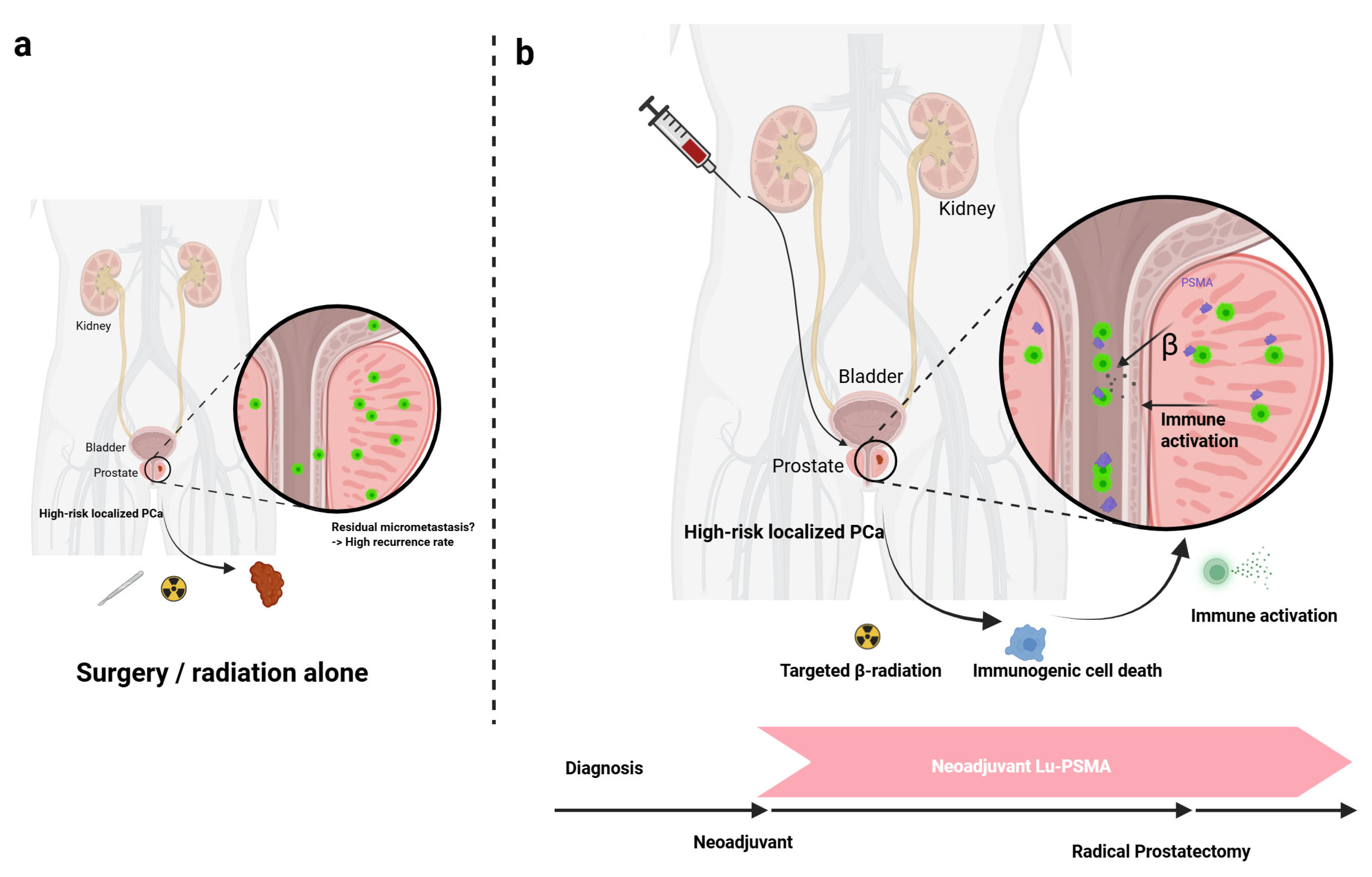 Preprints 170363 g001