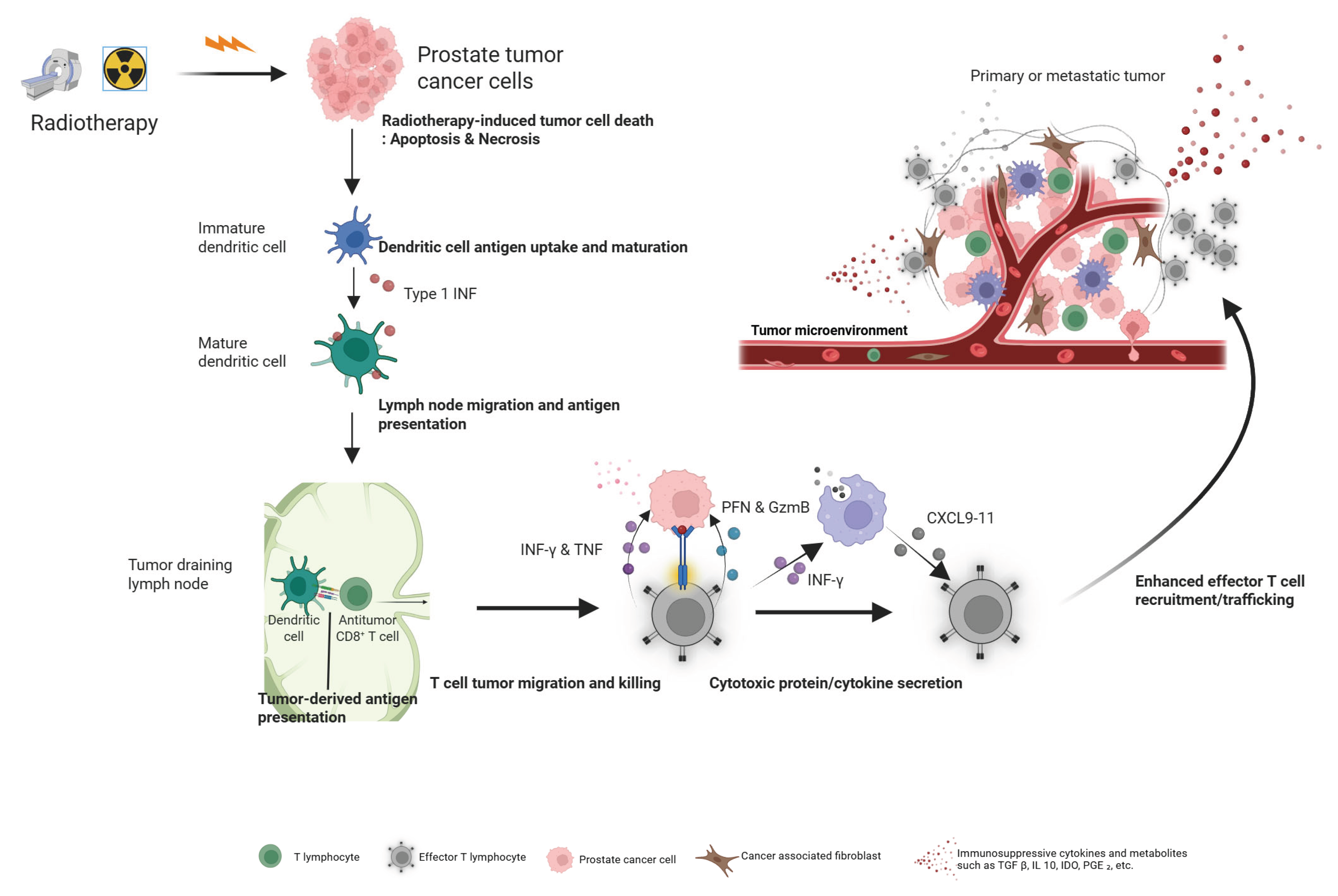 Preprints 170363 g002
