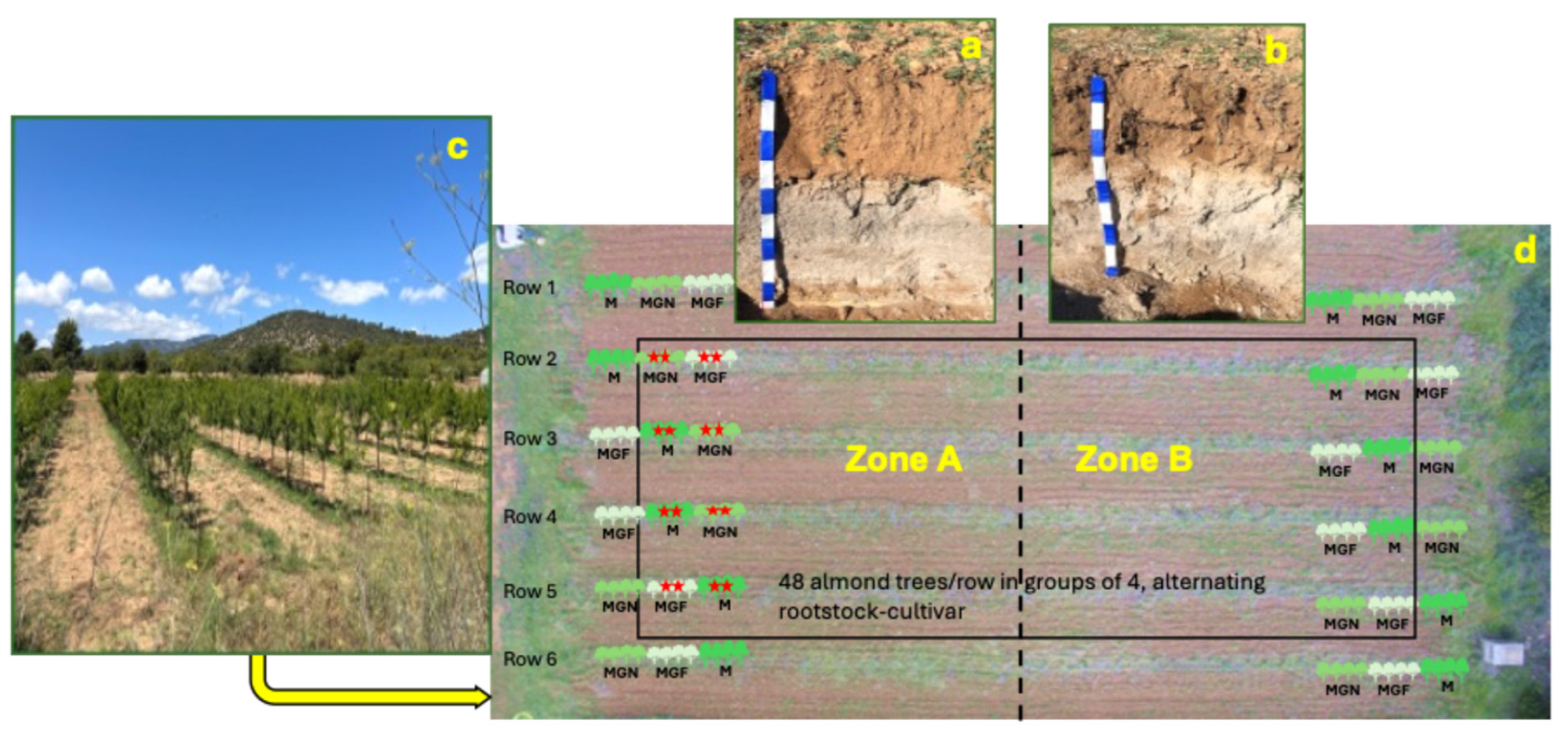 Preprints 193996 g001