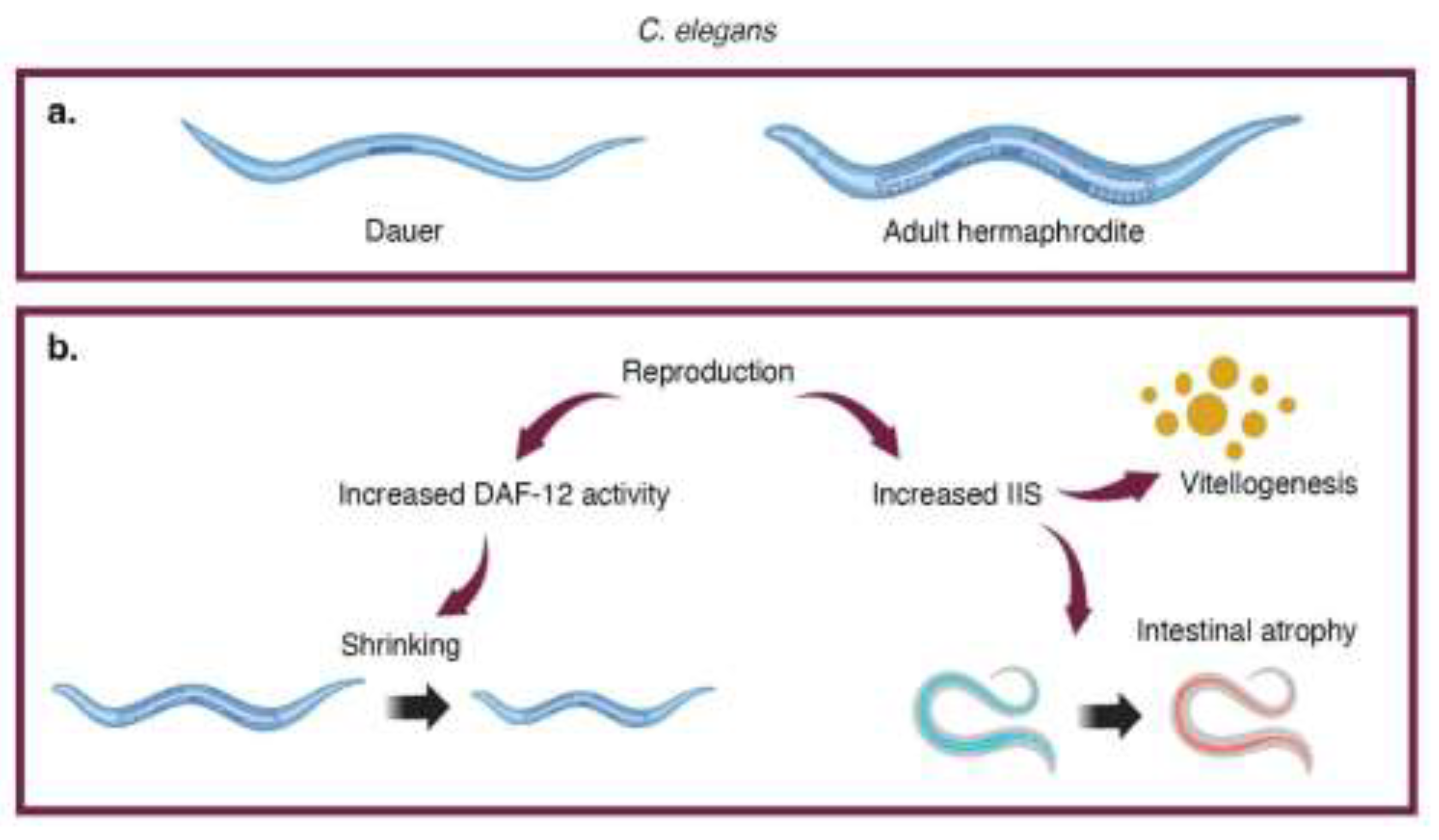 Preprints 140647 g001