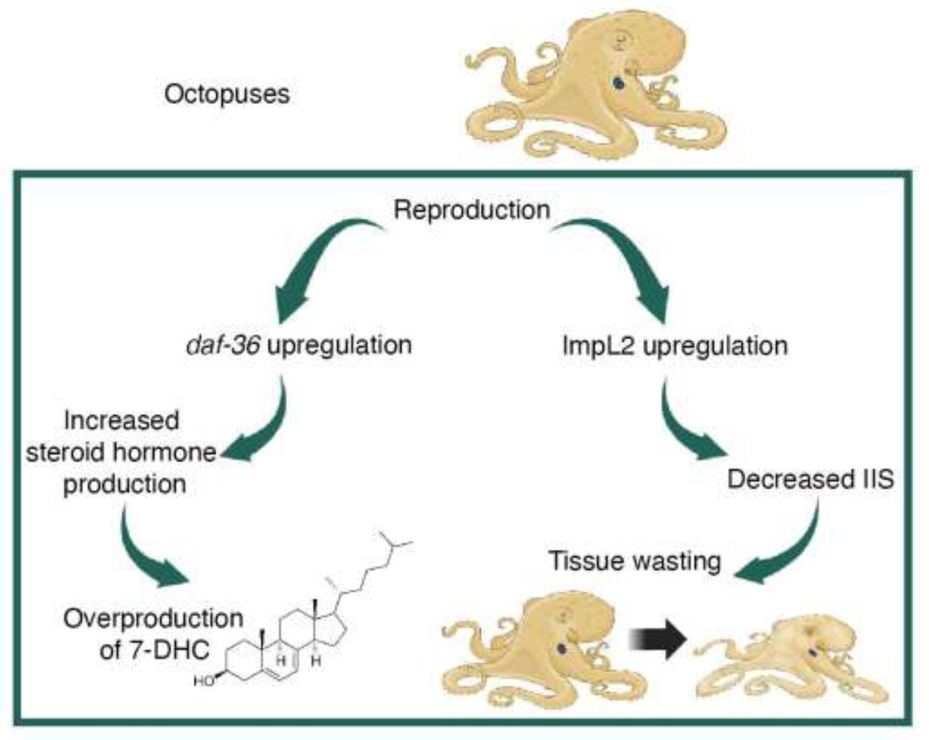 Preprints 140647 g002