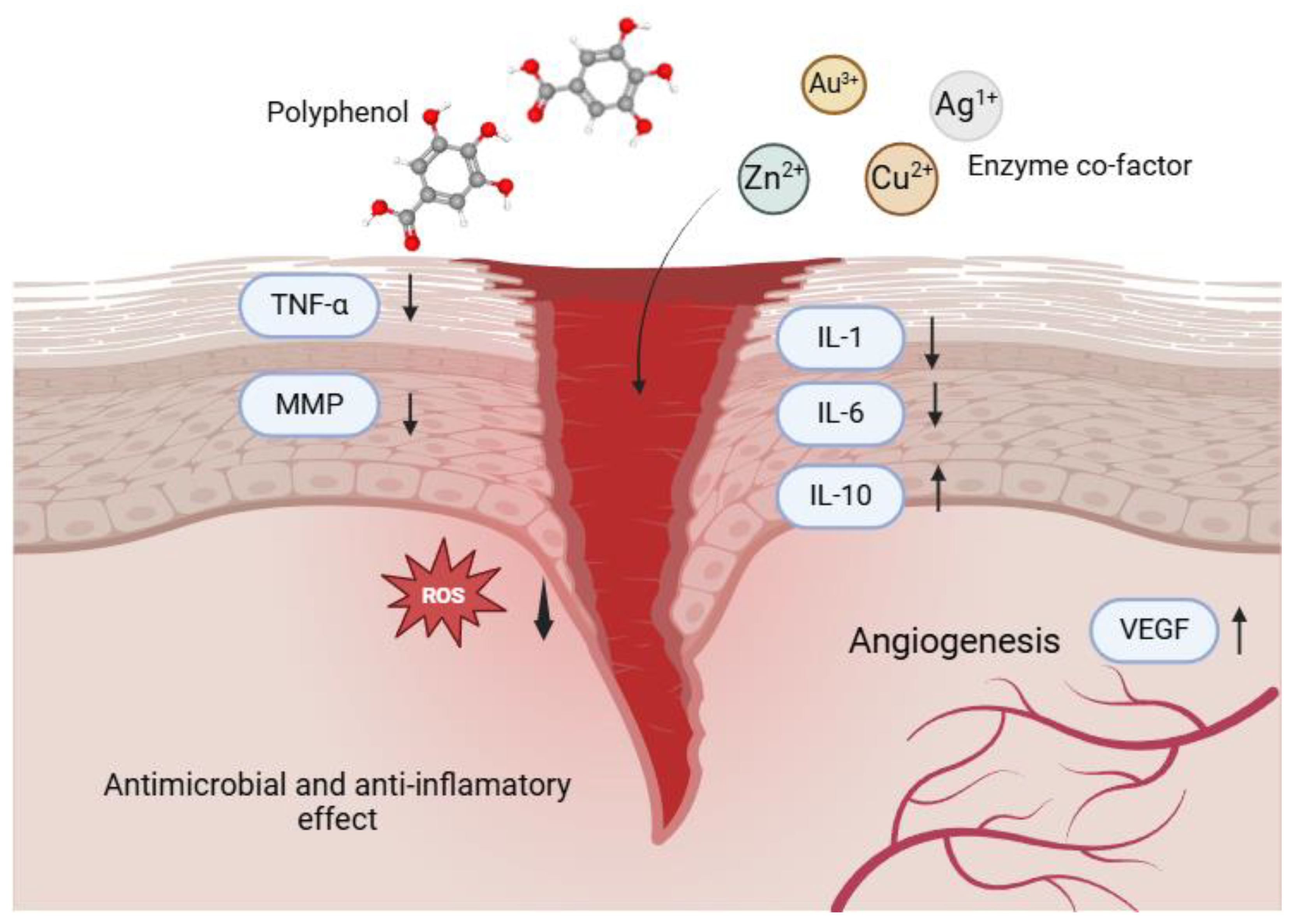 Preprints 146735 g003