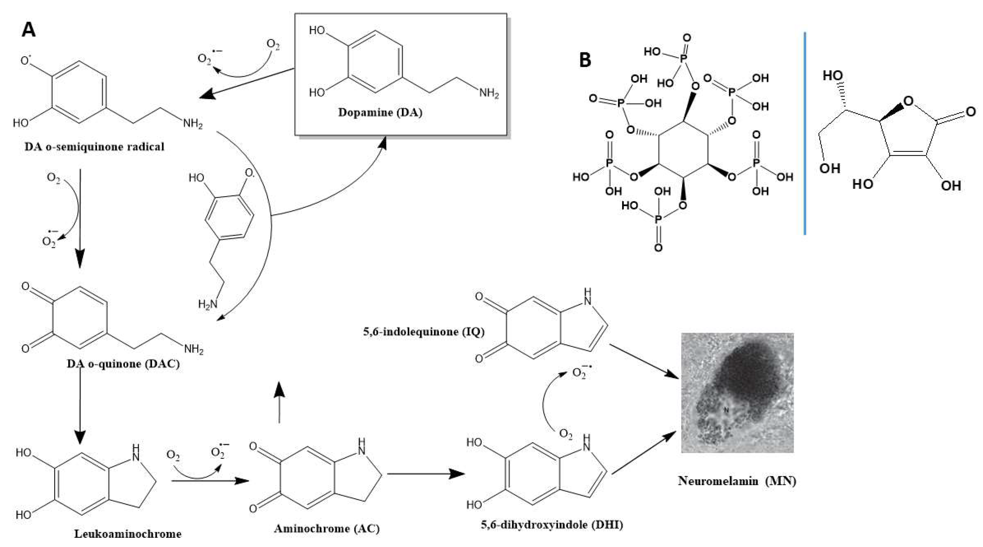 Preprints 147616 g001