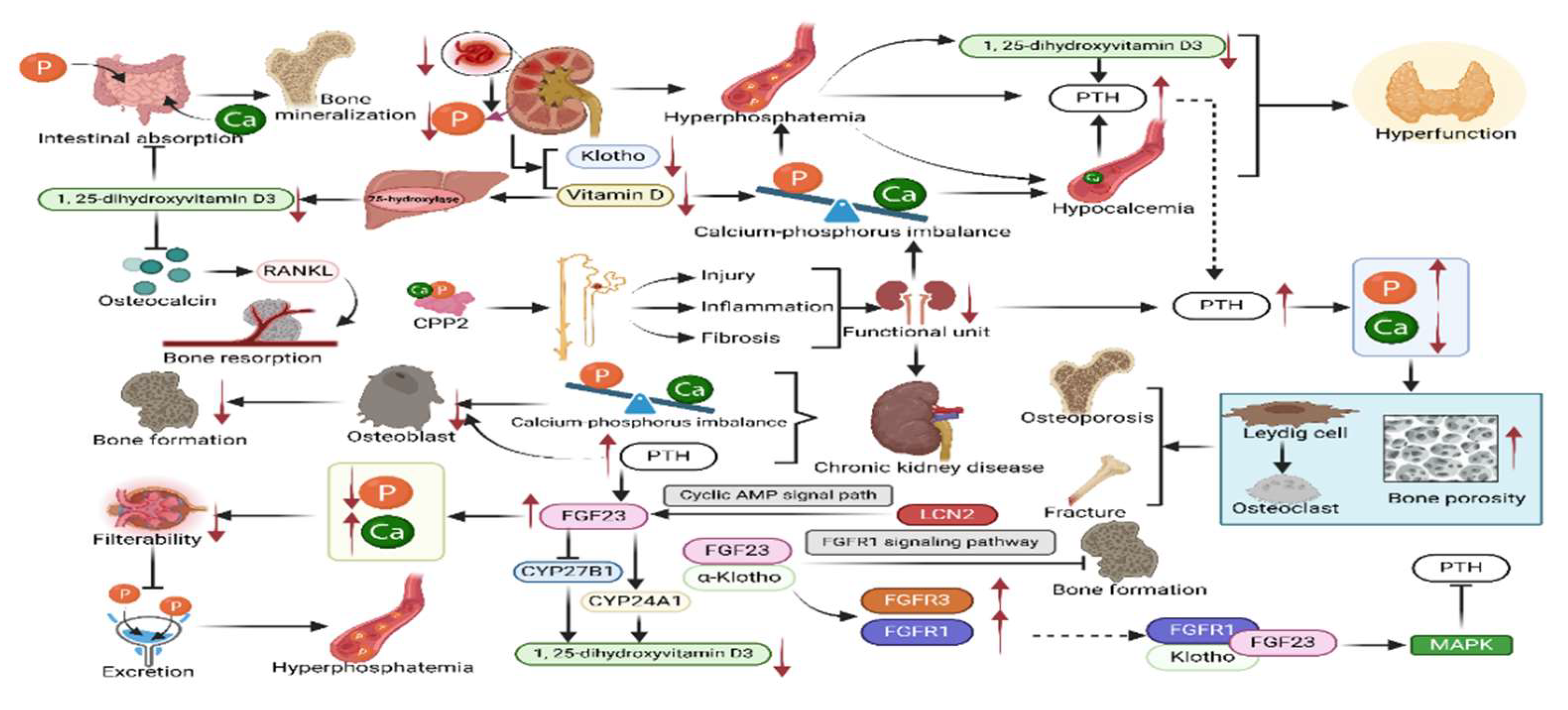 Preprints 158640 g002