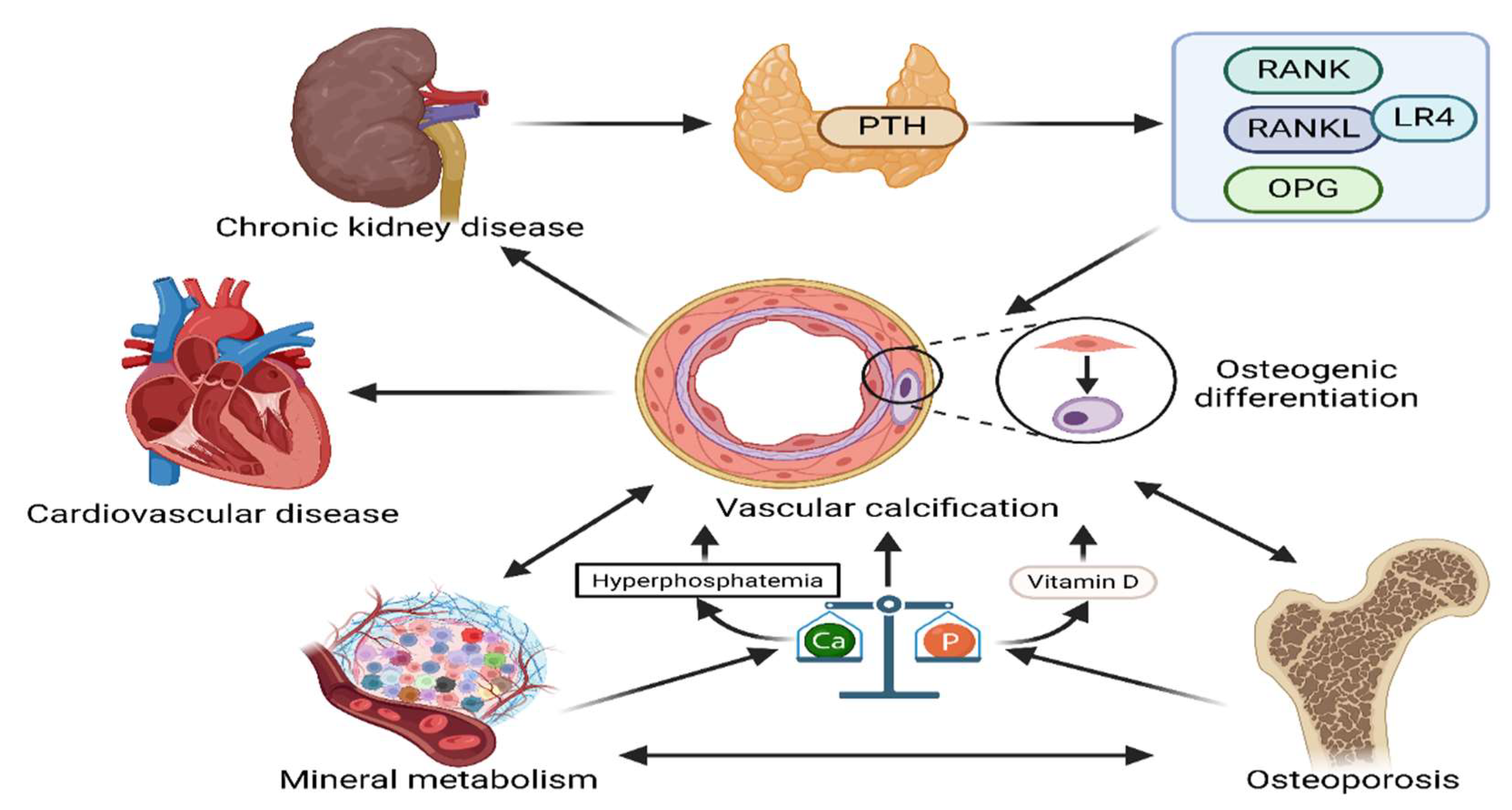 Preprints 158640 g004