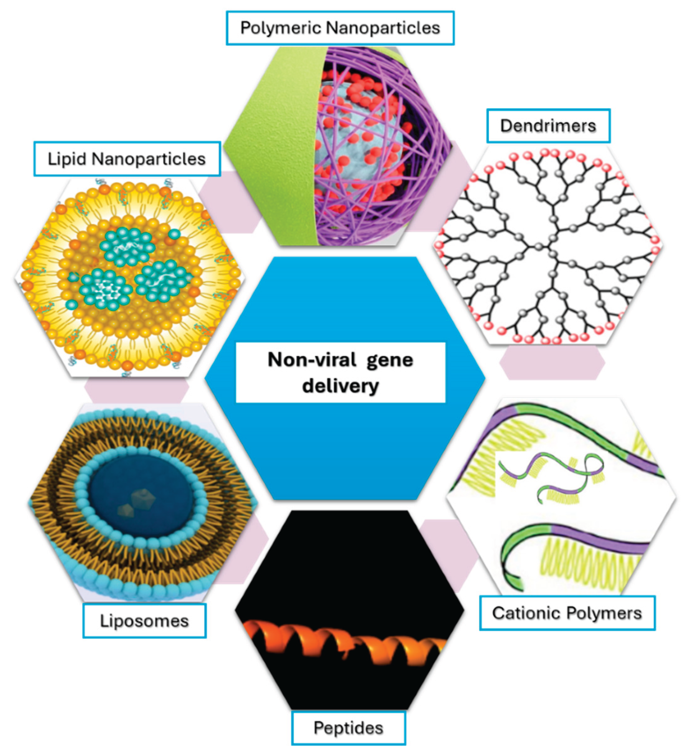 Preprints 170282 g001