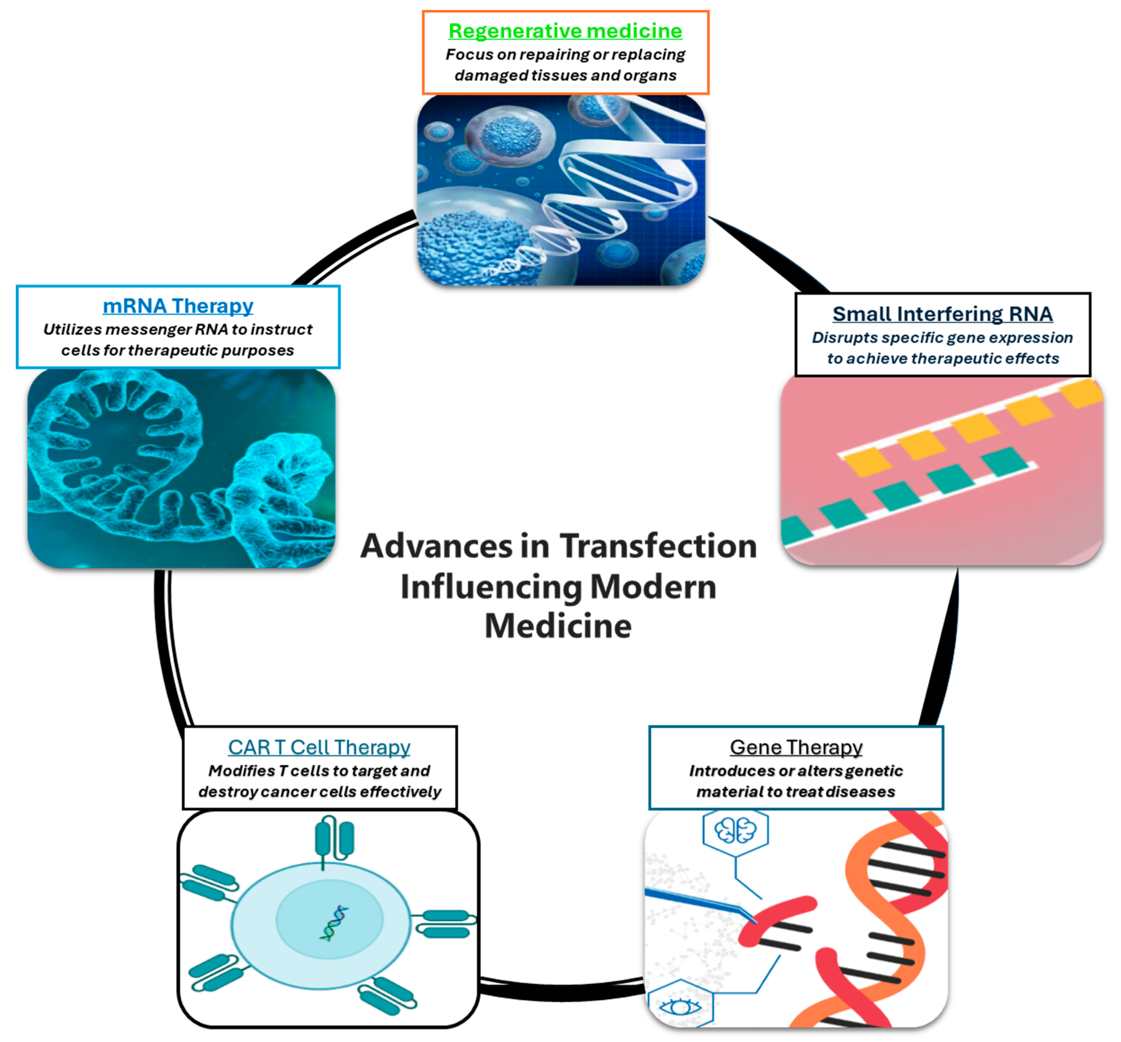 Preprints 170282 g002