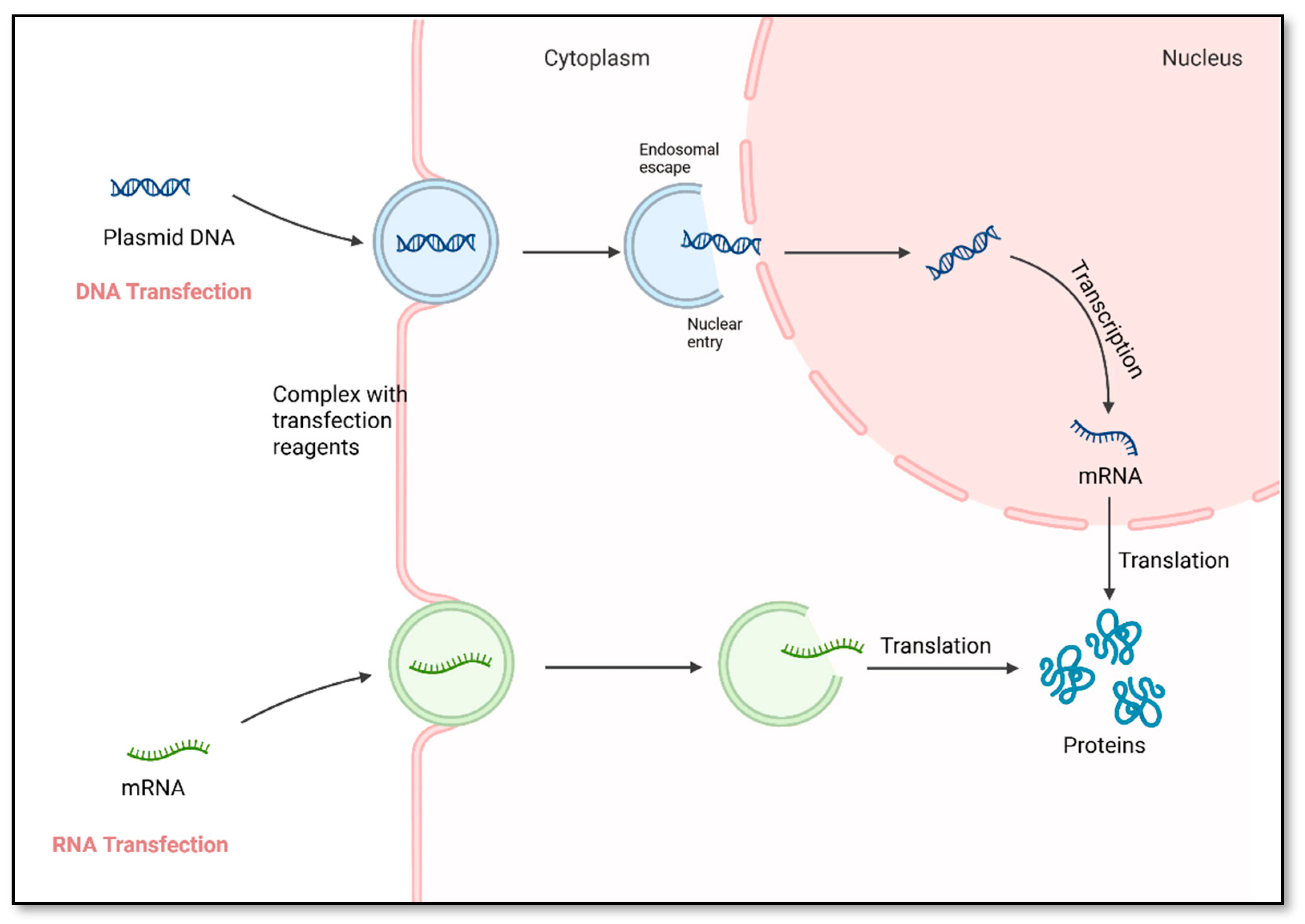 Preprints 170282 g003