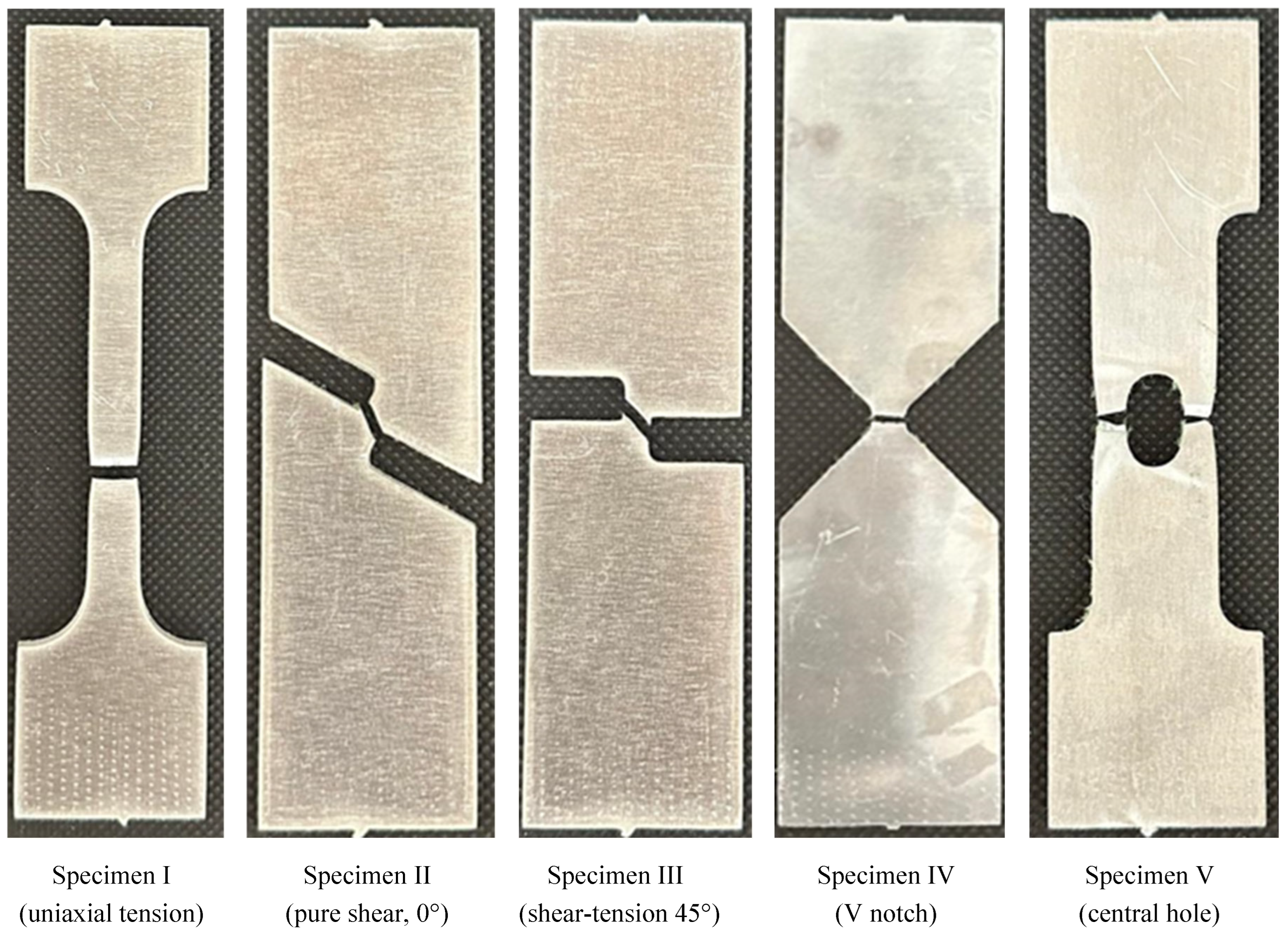 Preprints 159282 g005