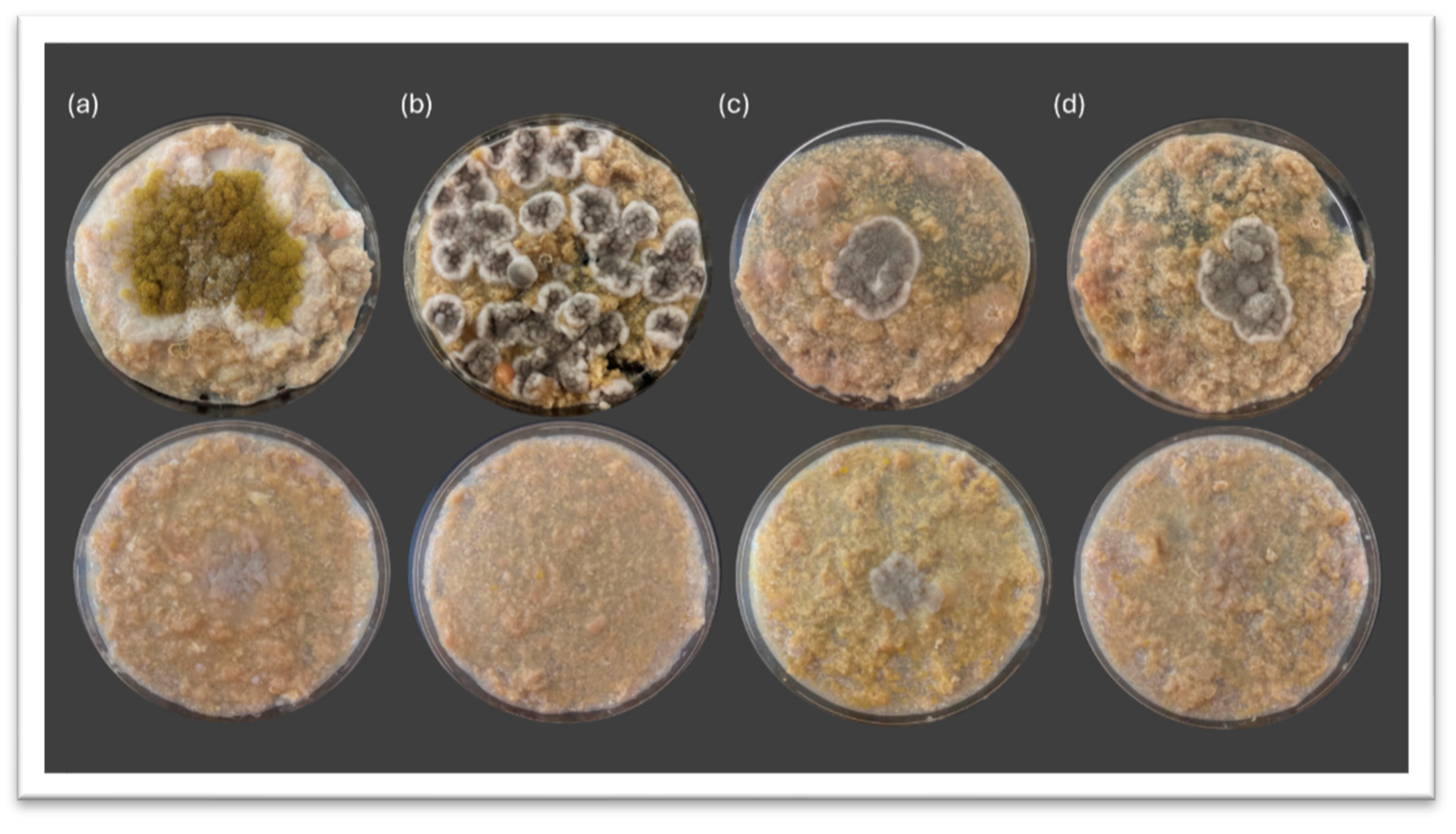 Preprints 173075 g003