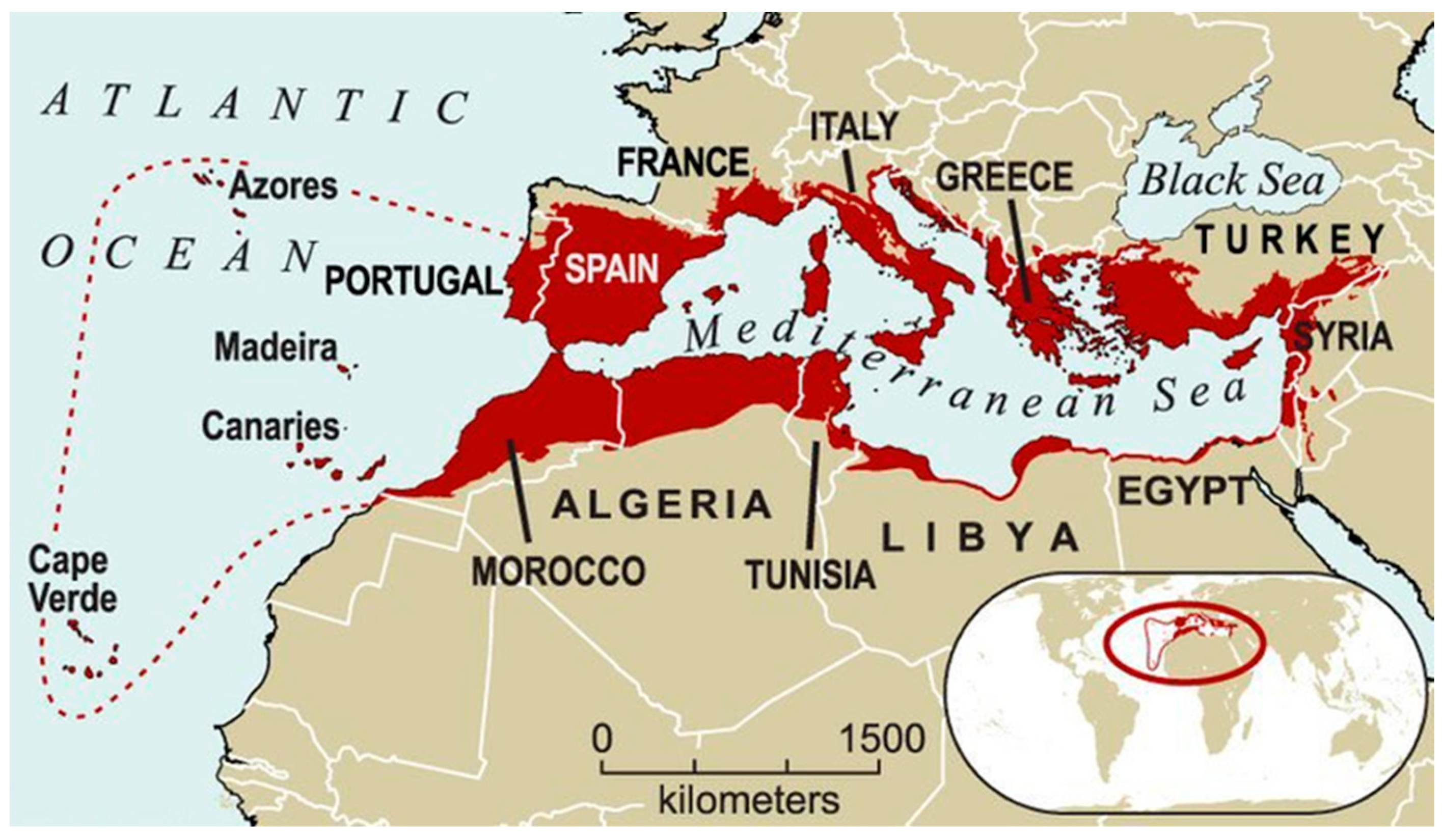 Preprints 140566 g002