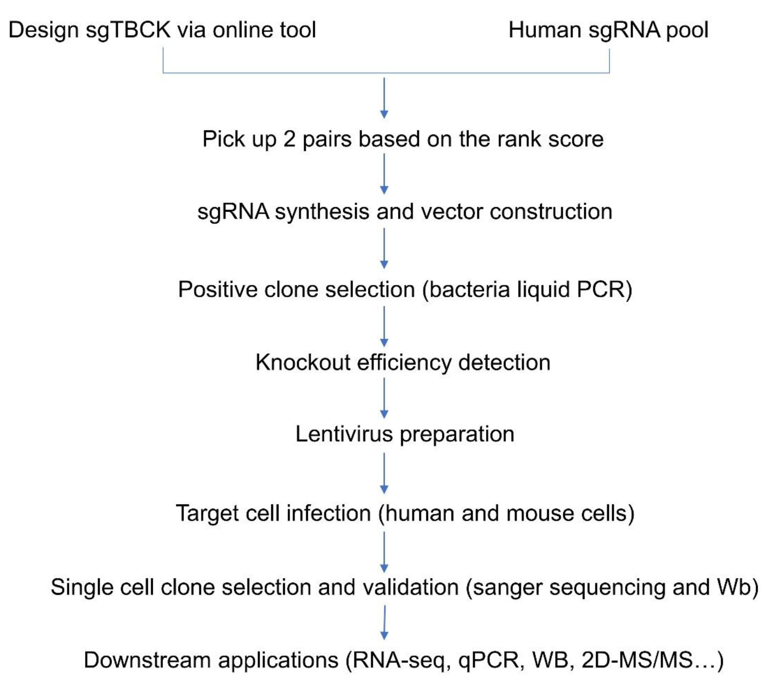 Preprints 83309 g001