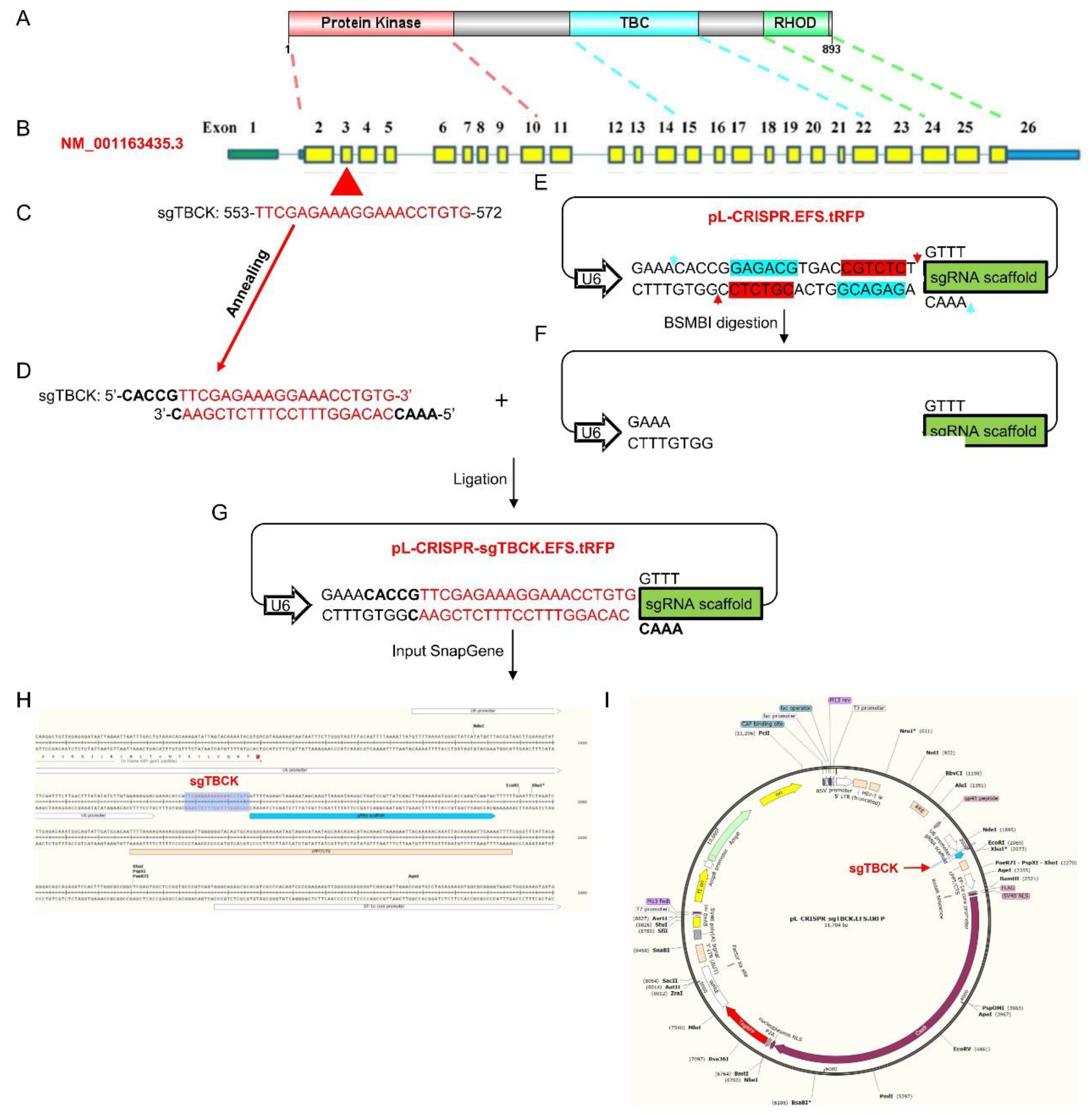 Preprints 83309 g002