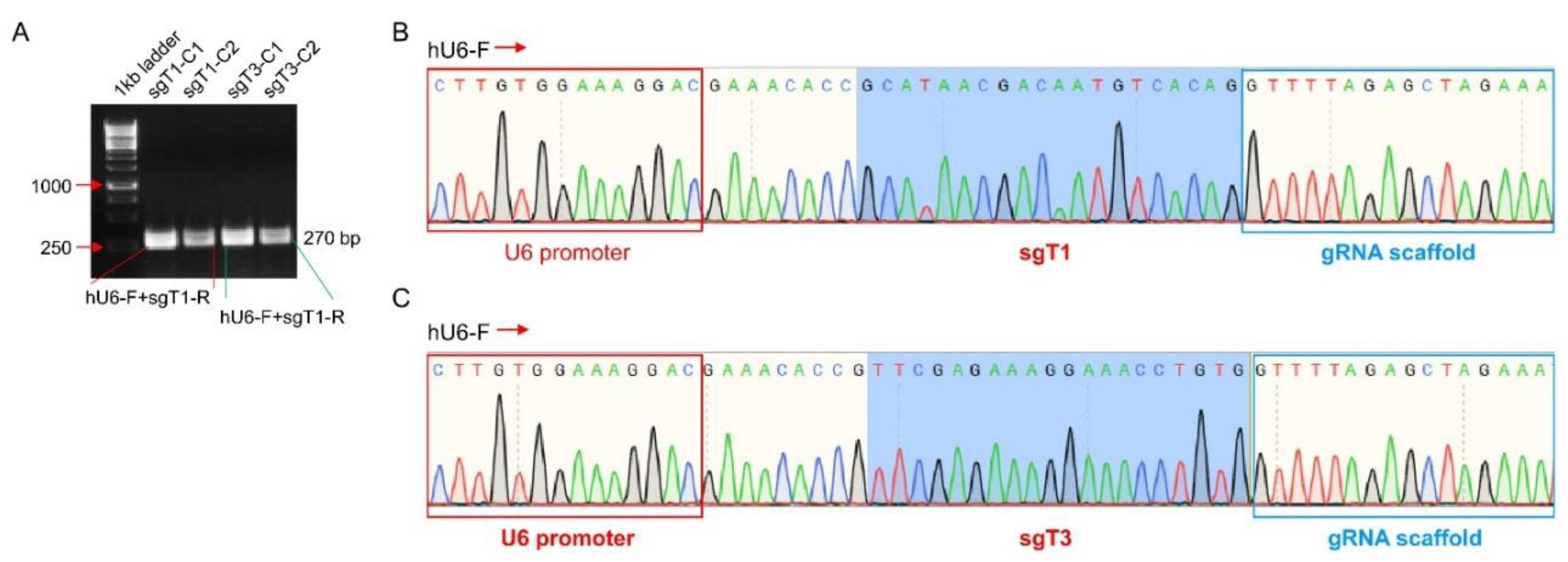 Preprints 83309 g003