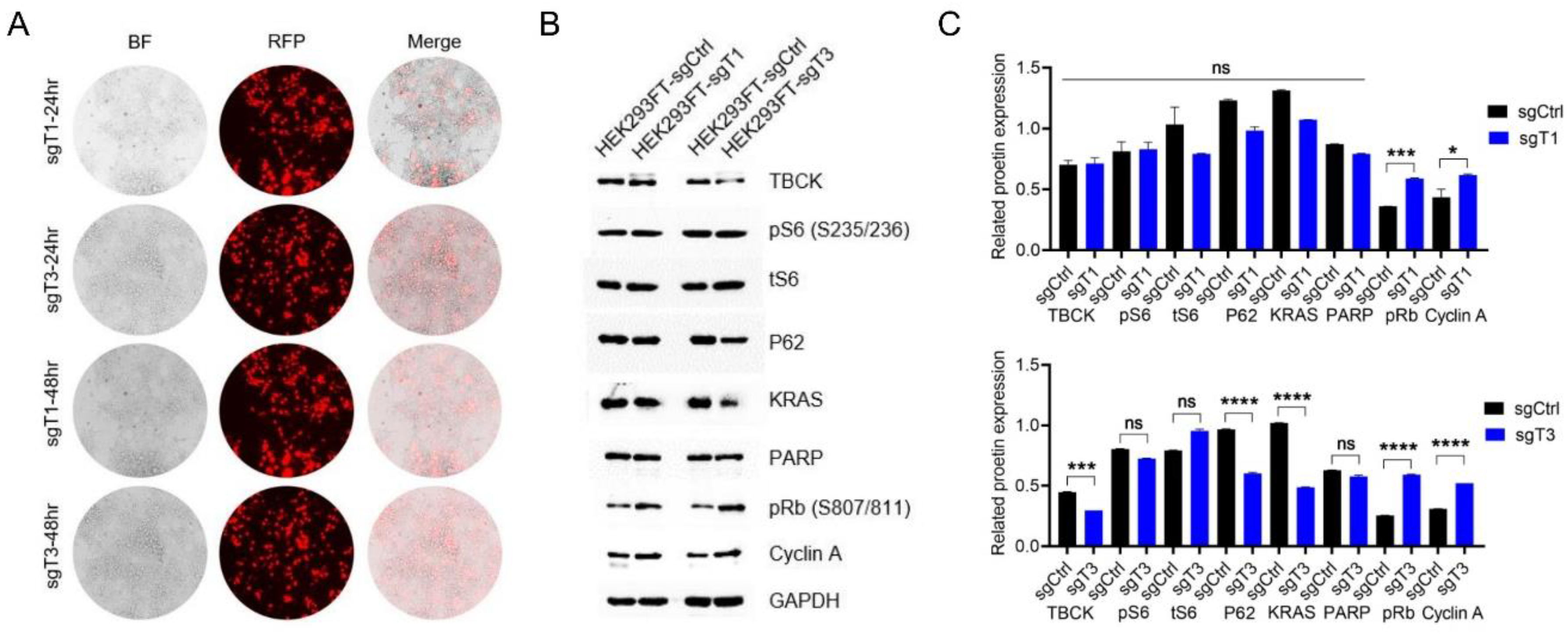 Preprints 83309 g004